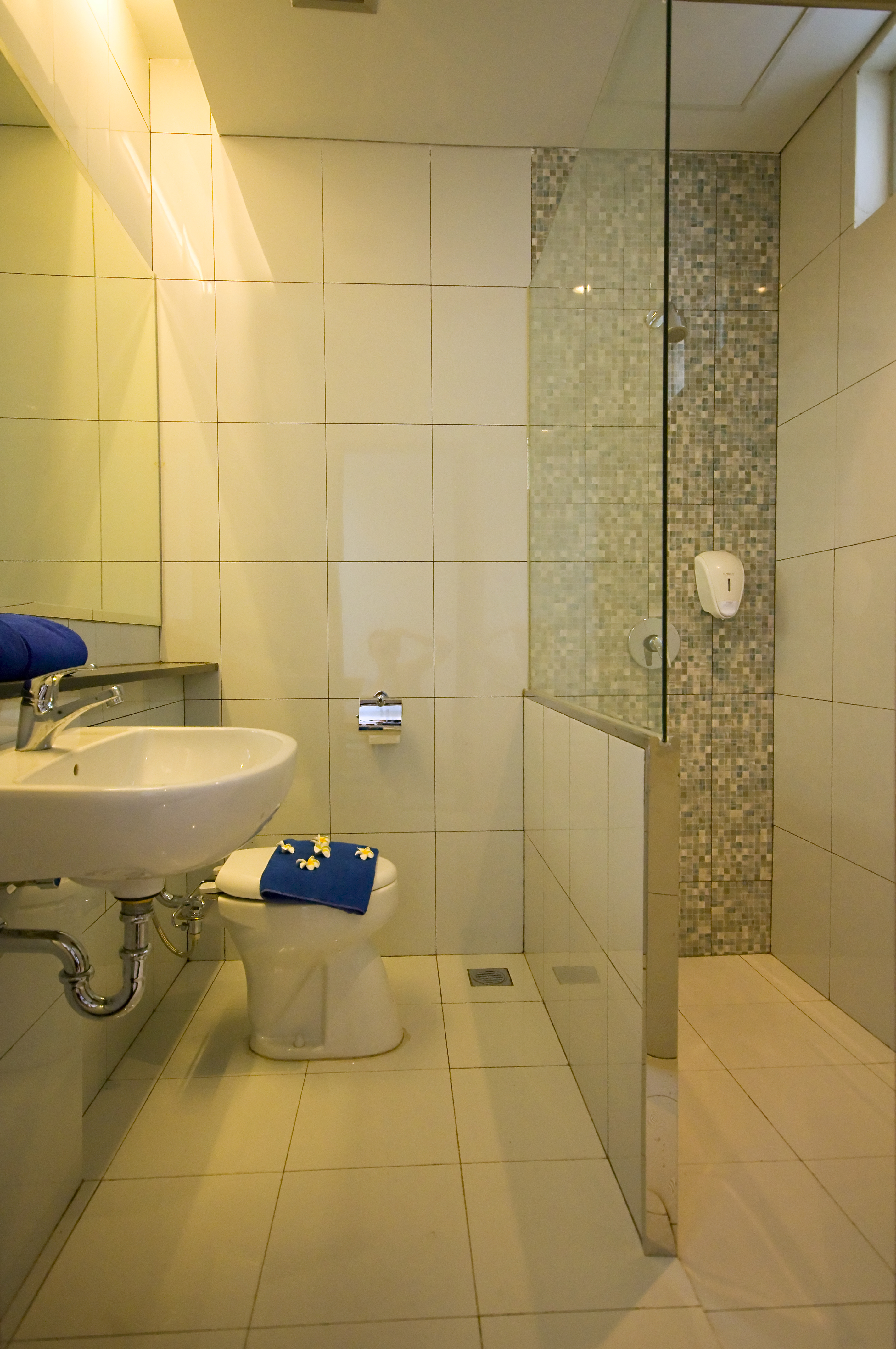 Double or Twin Executive