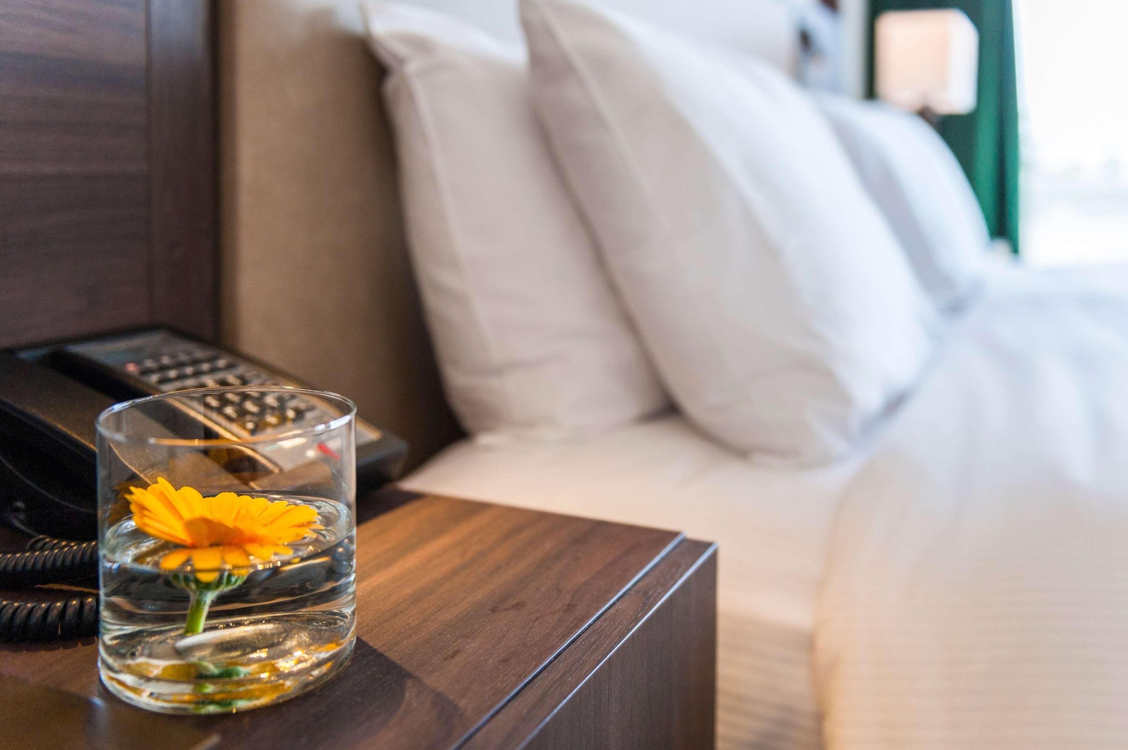 Room Executive King Bed