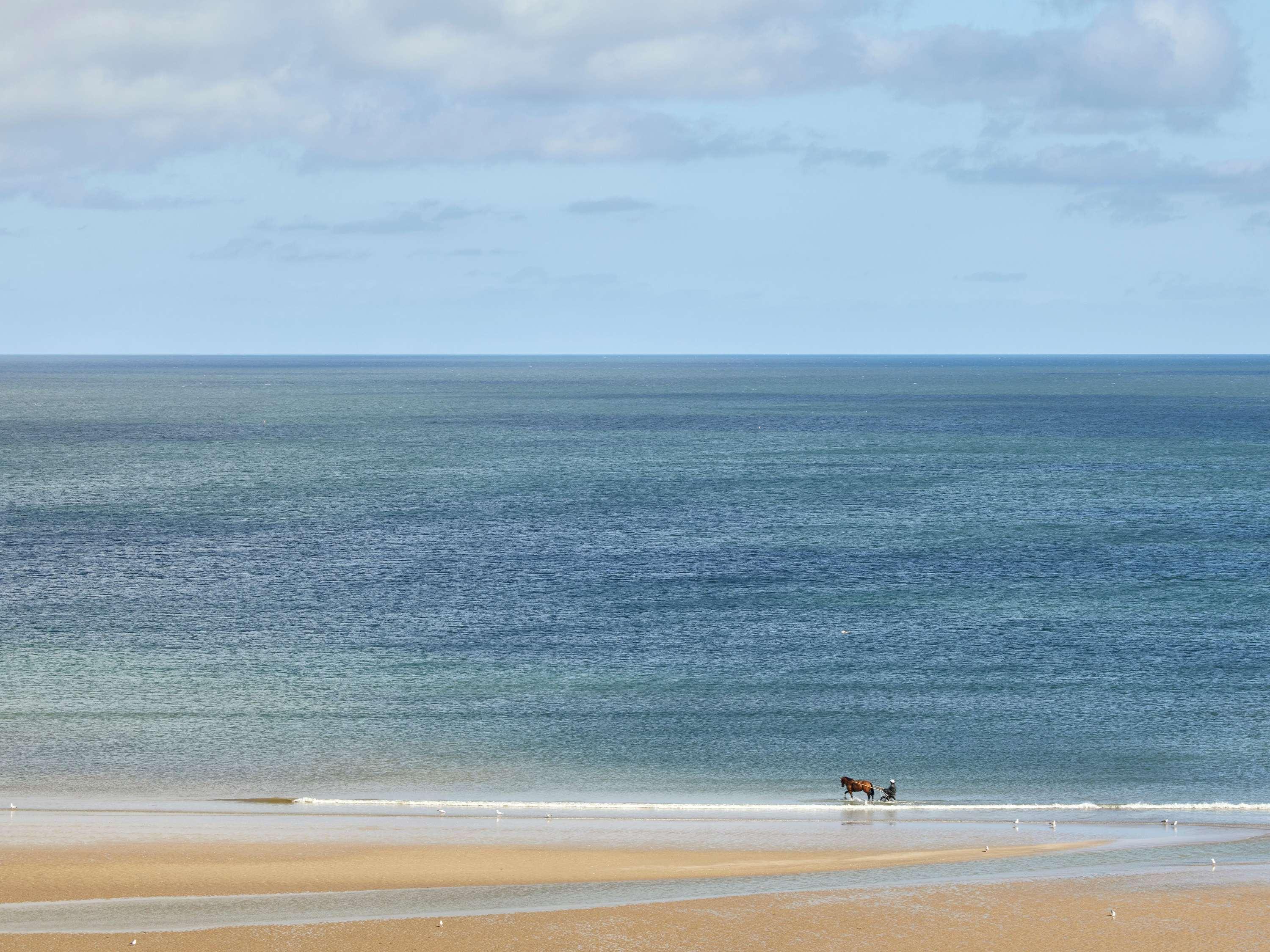 Family Room Sea View King Bed