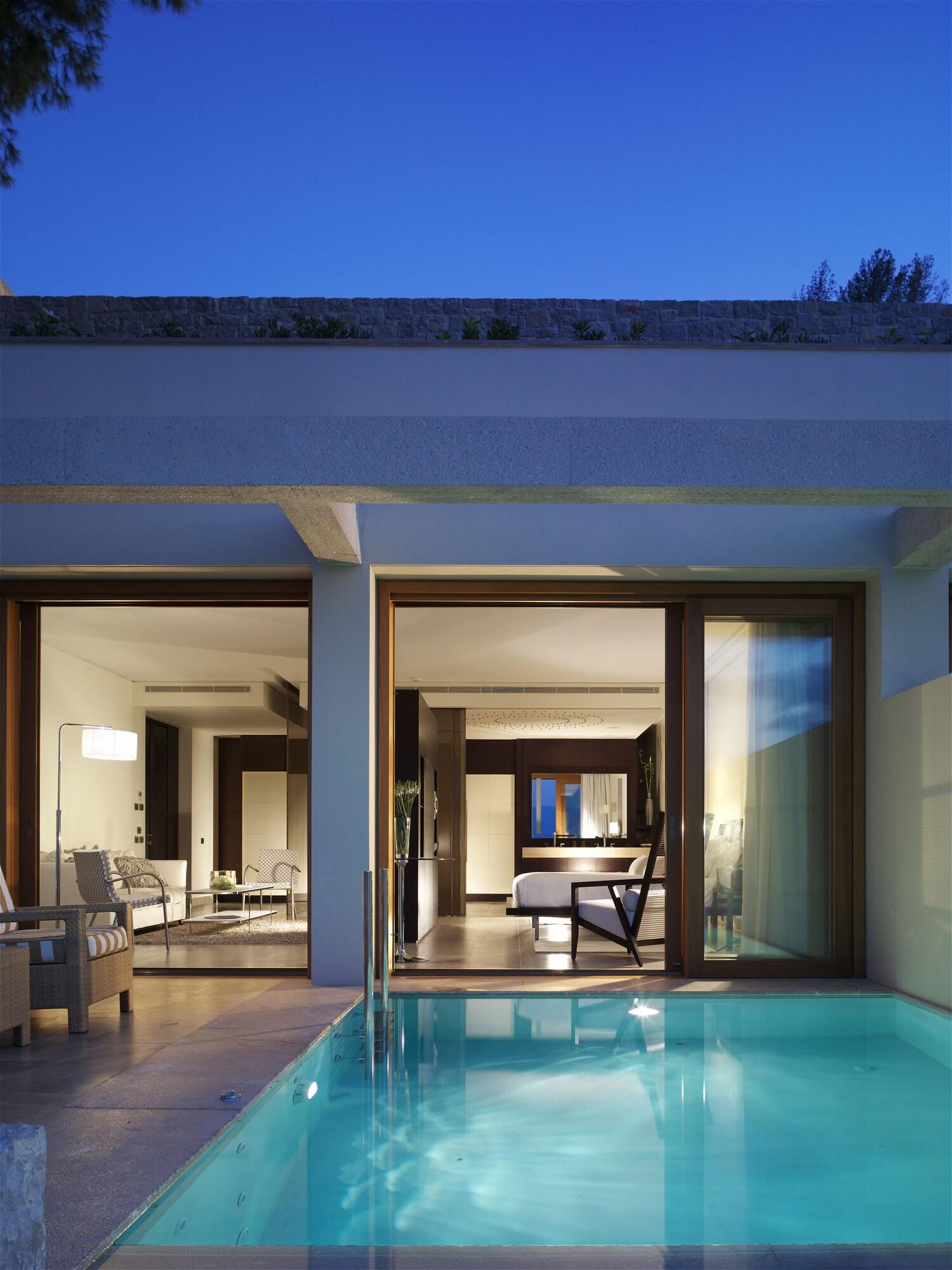 Villa King Bed One Bedroom 