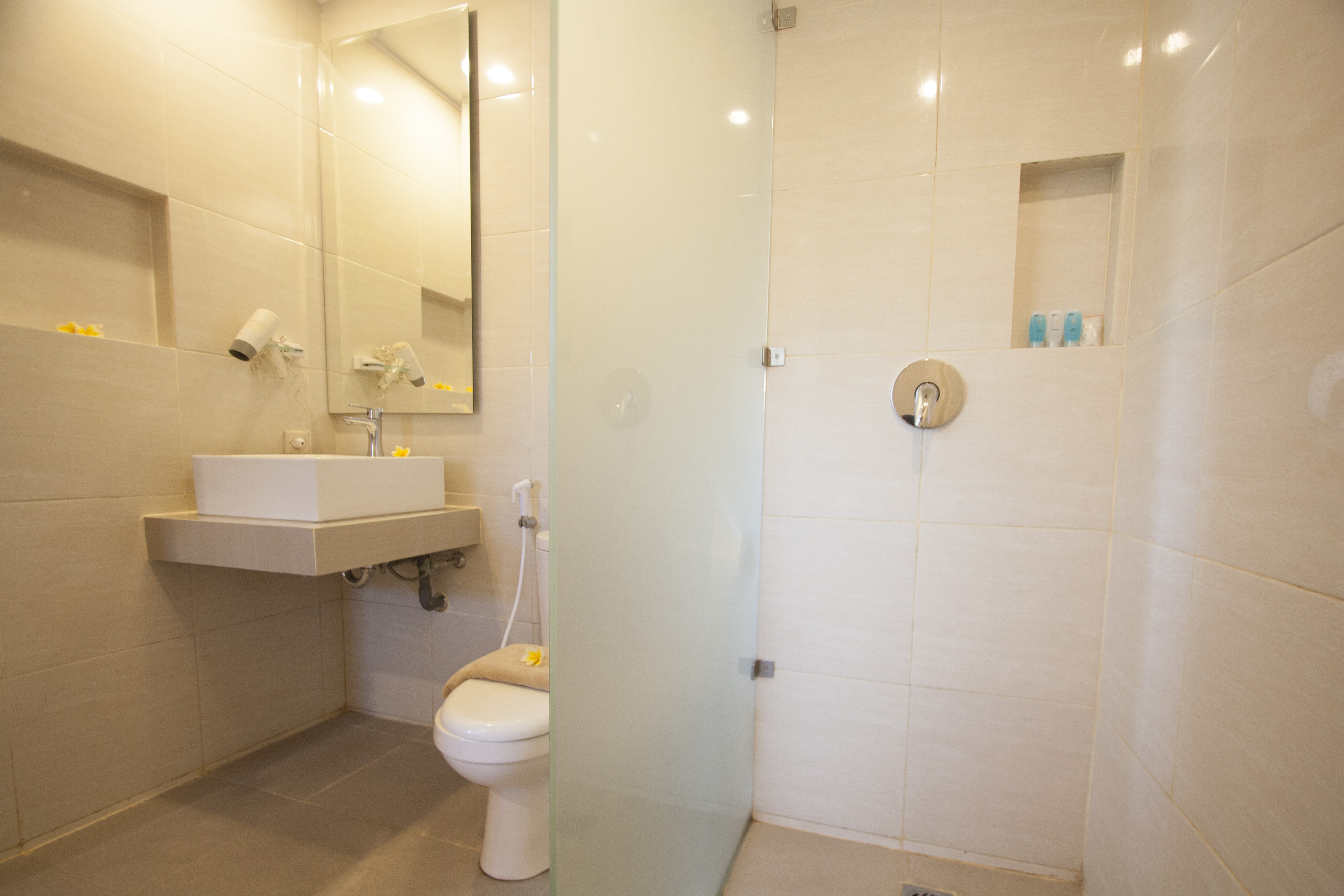 Double or Twin Standard