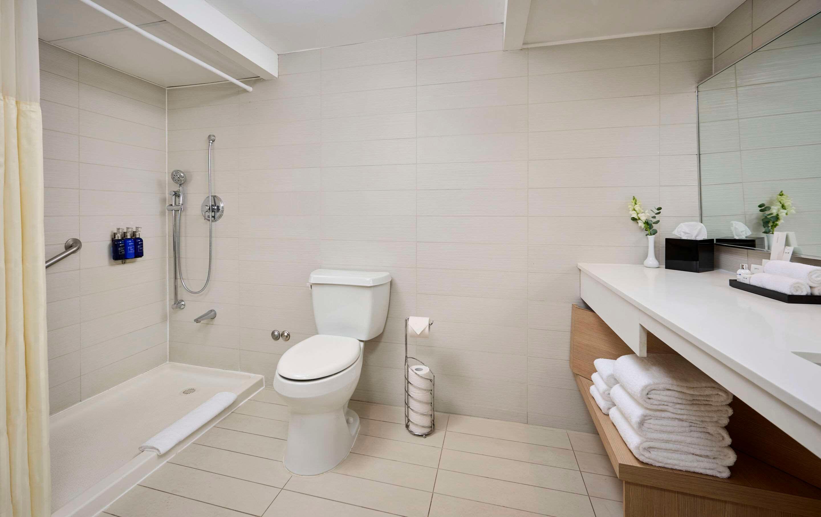 Double Accessible King Size Bed