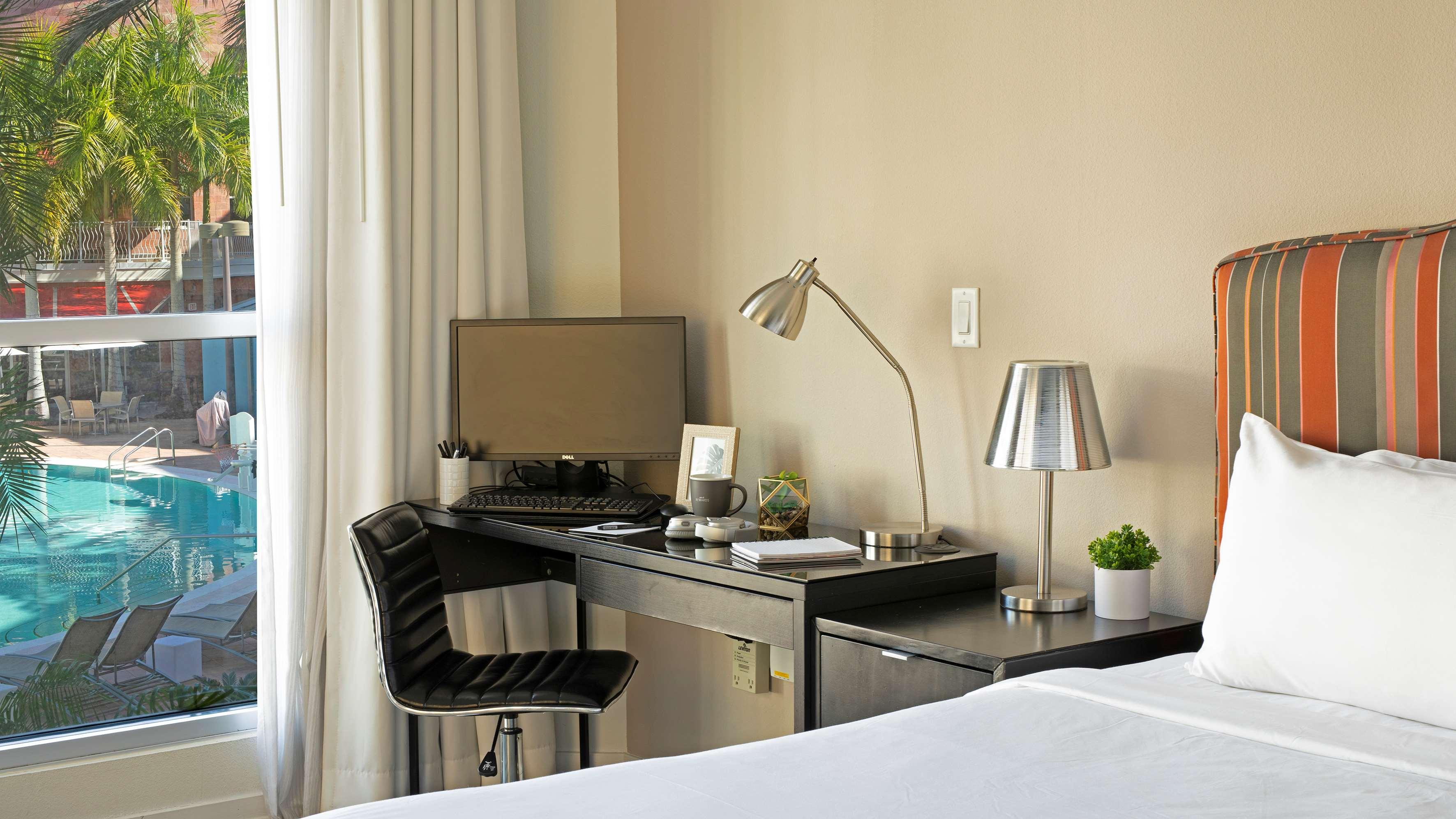 Suite King Bed One Bedroom 