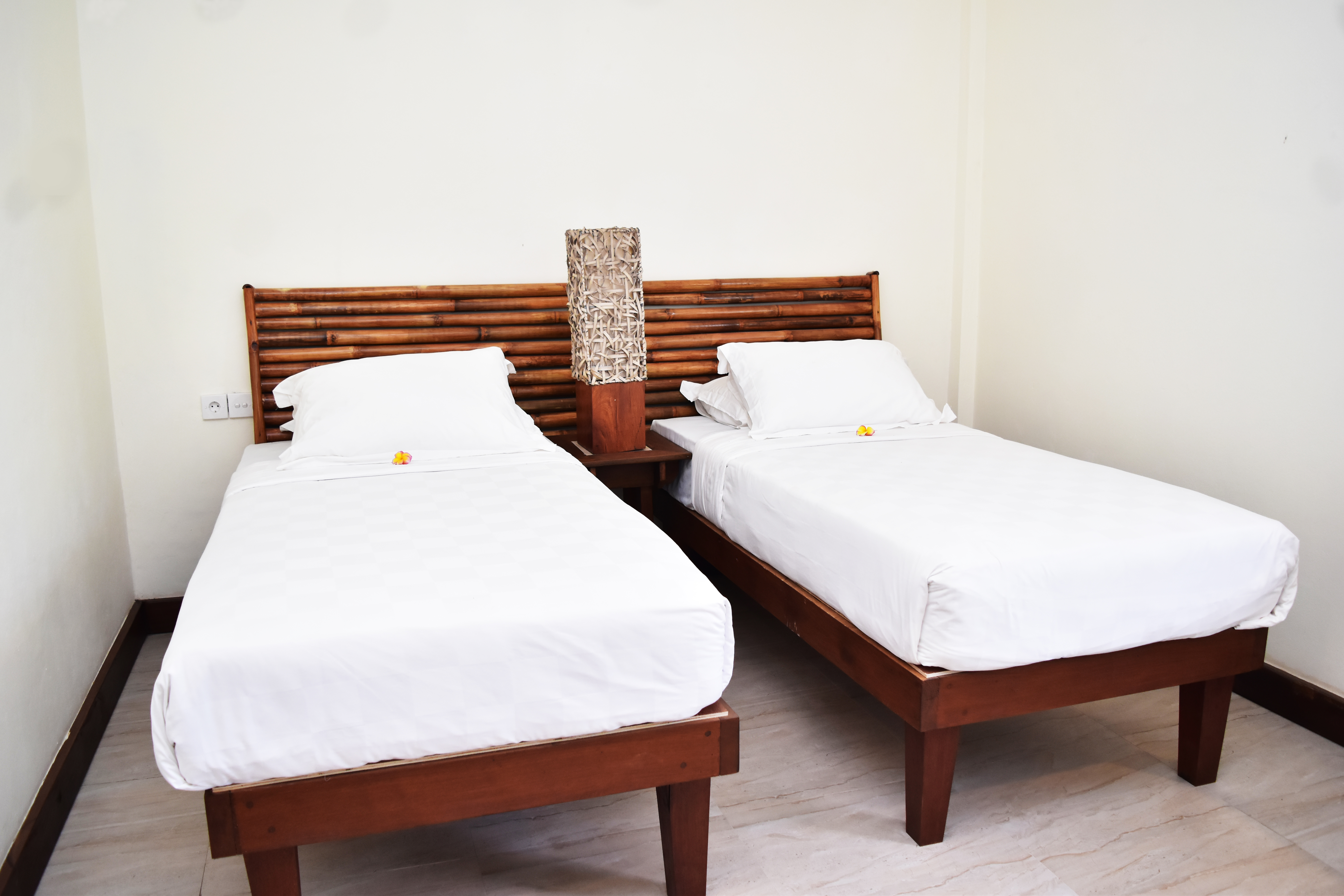 Double or Twin Standard