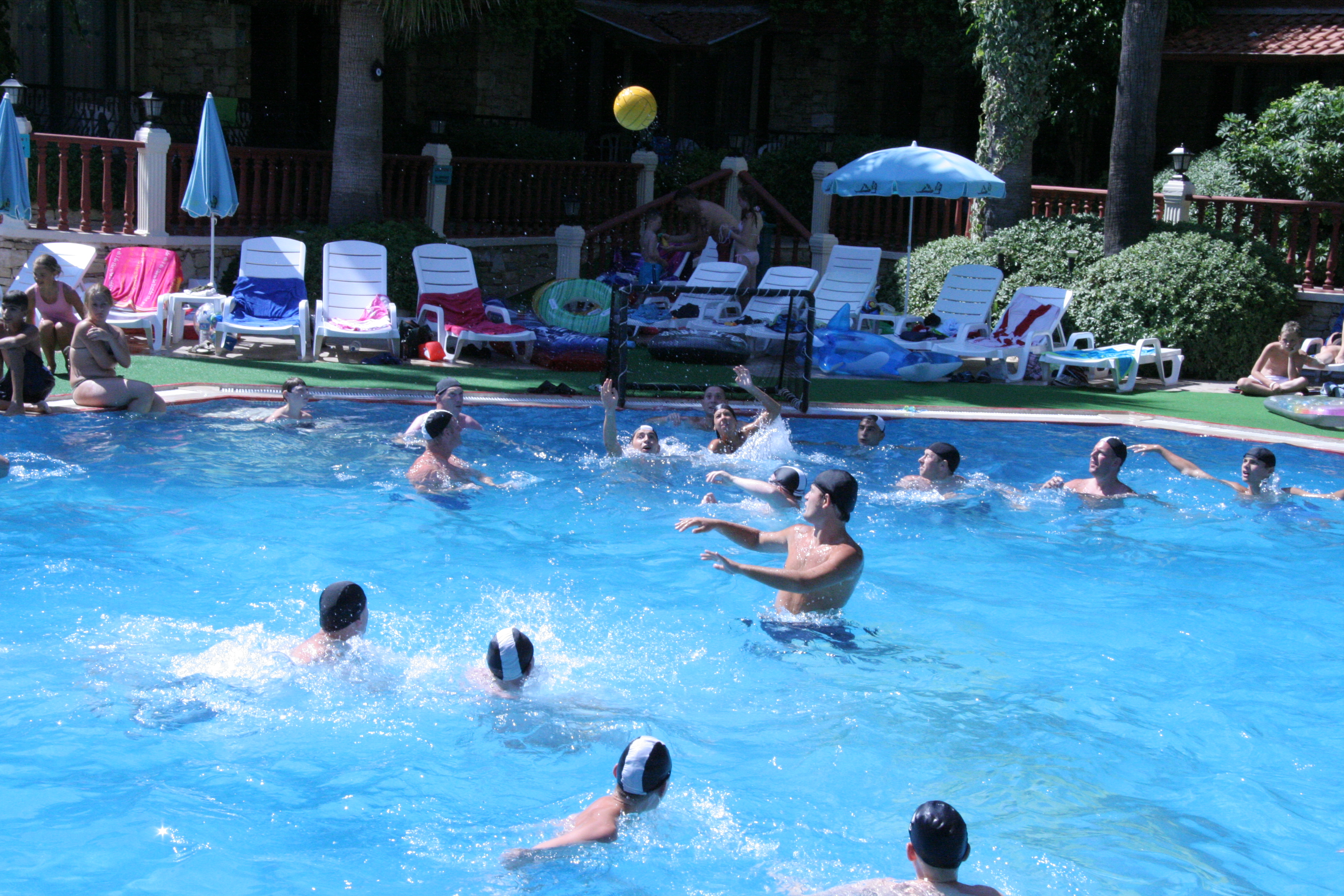 Sports and Entertainment