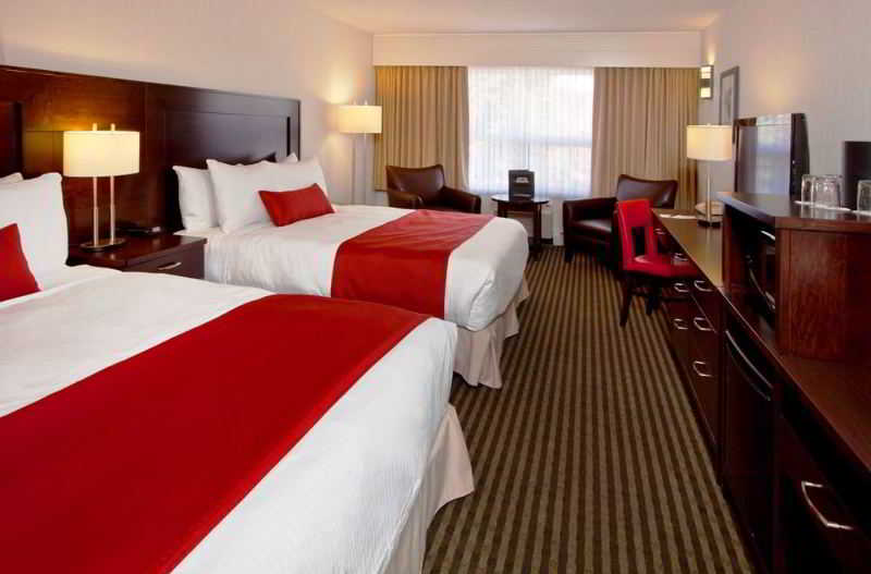 Room Deluxe Two Queen Beds