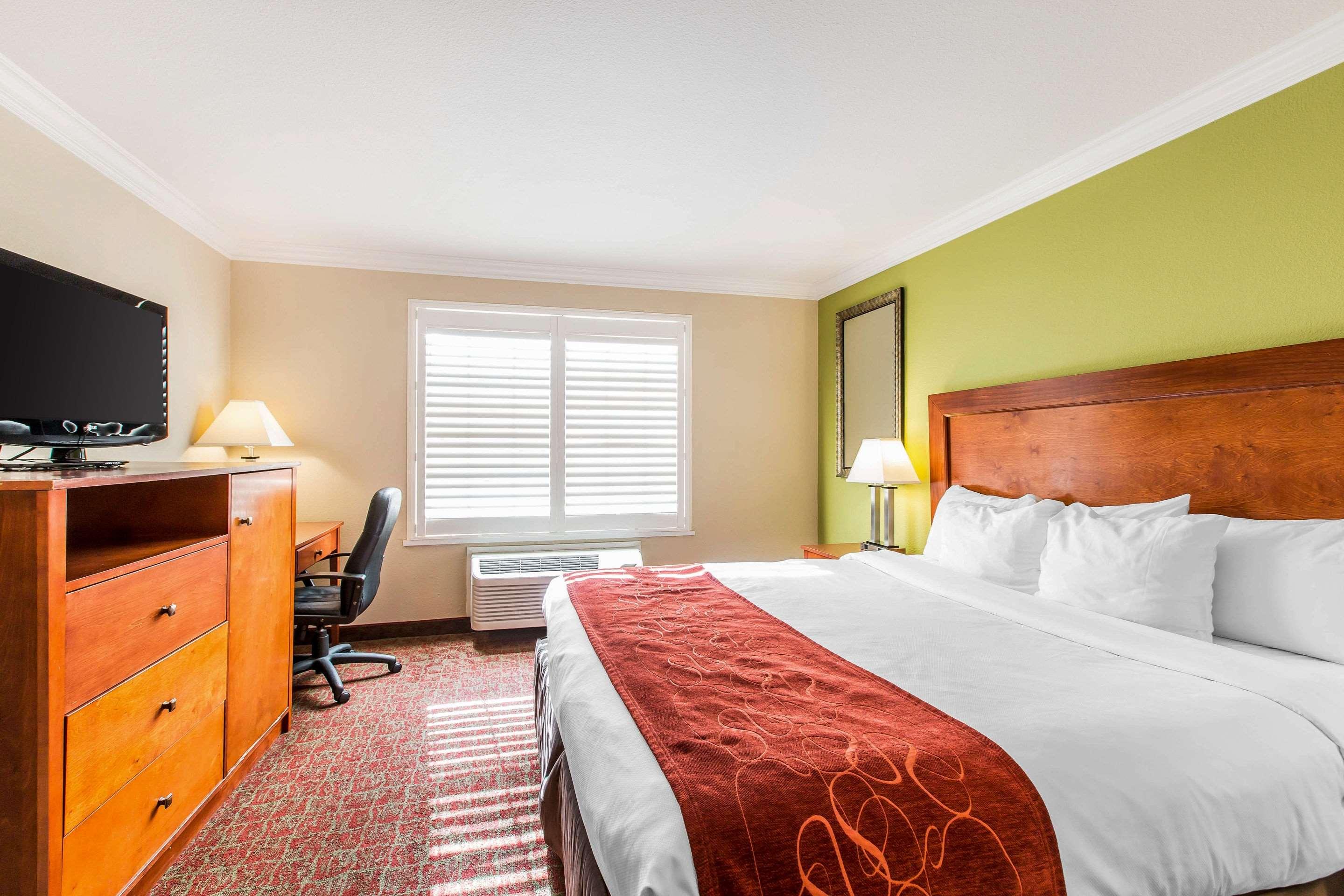 Double King Bed Non Smoking