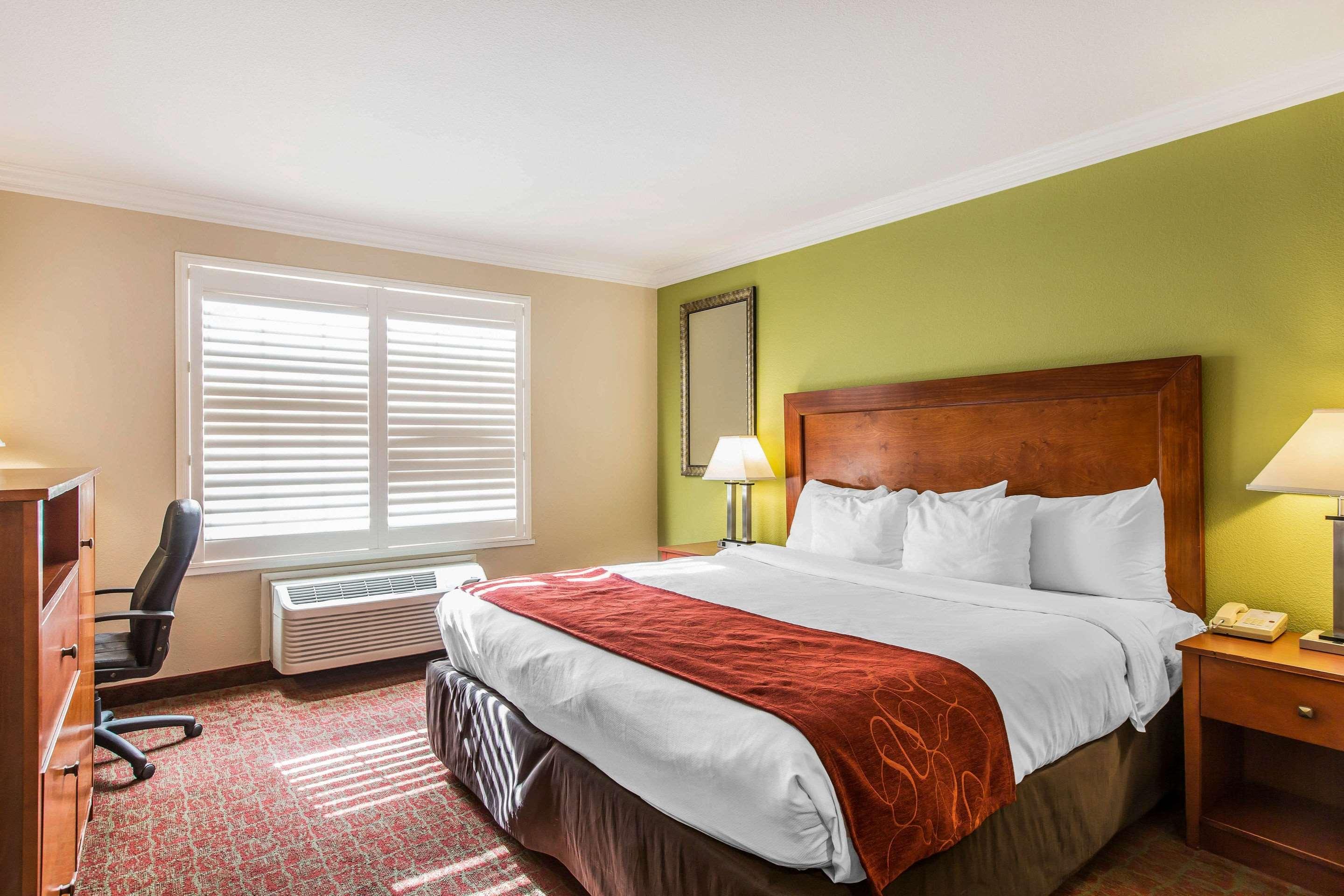 Double King Bed Non Smoking