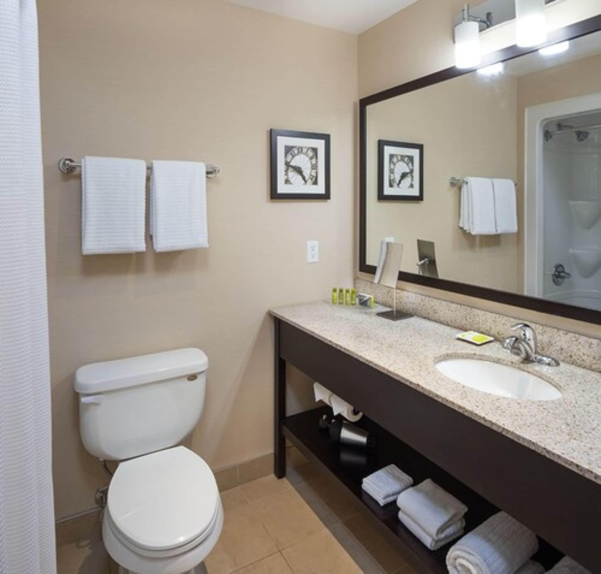 Suite King Bed One Bedroom 