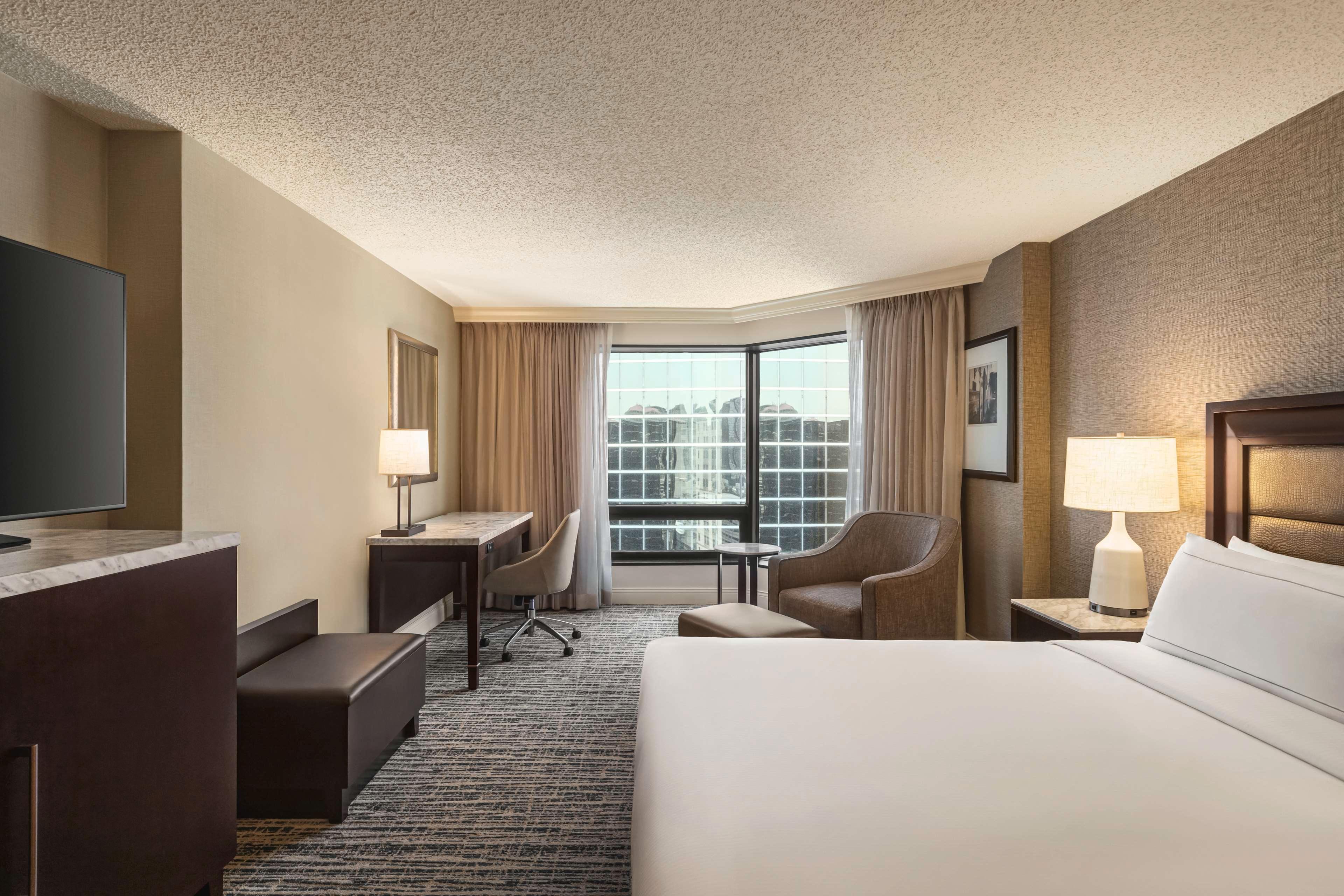 Double City View King Bed