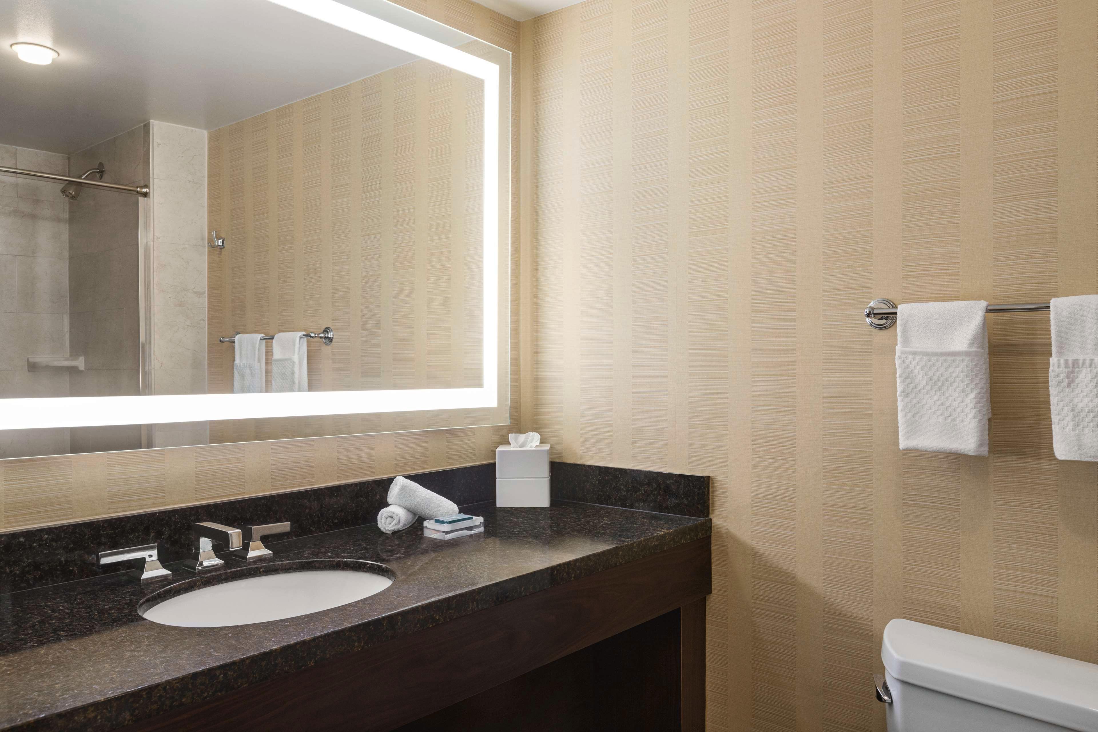 Double City View King Bed