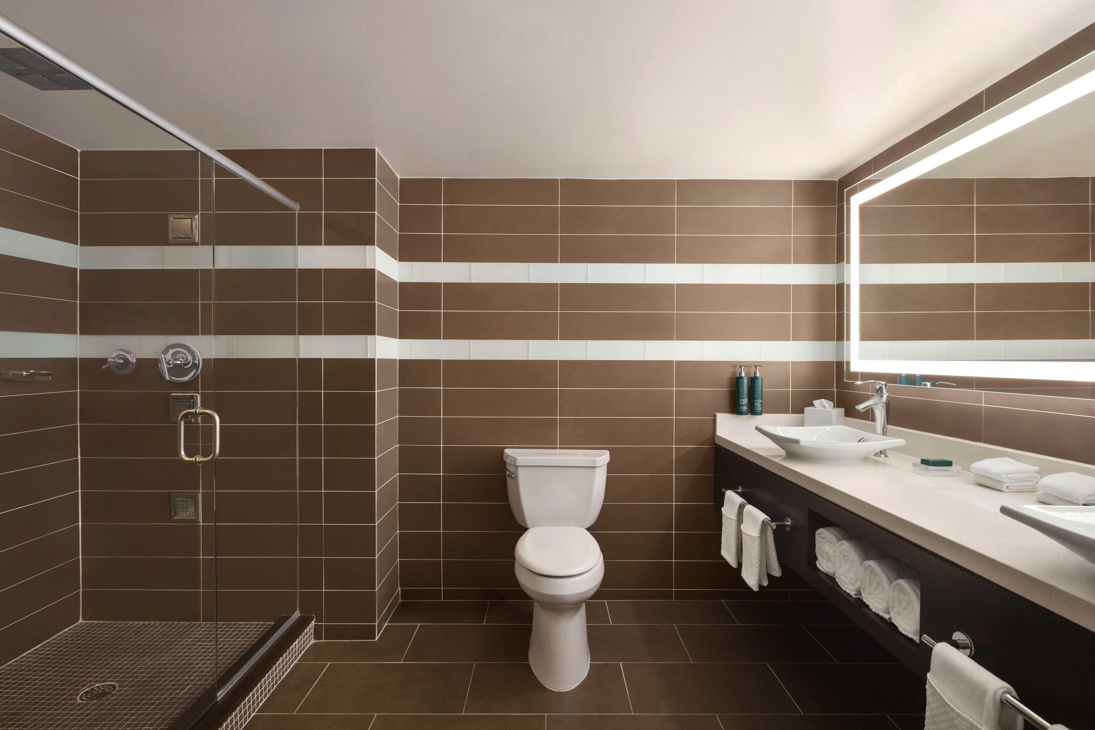 Suite King Bed One Bedroom 