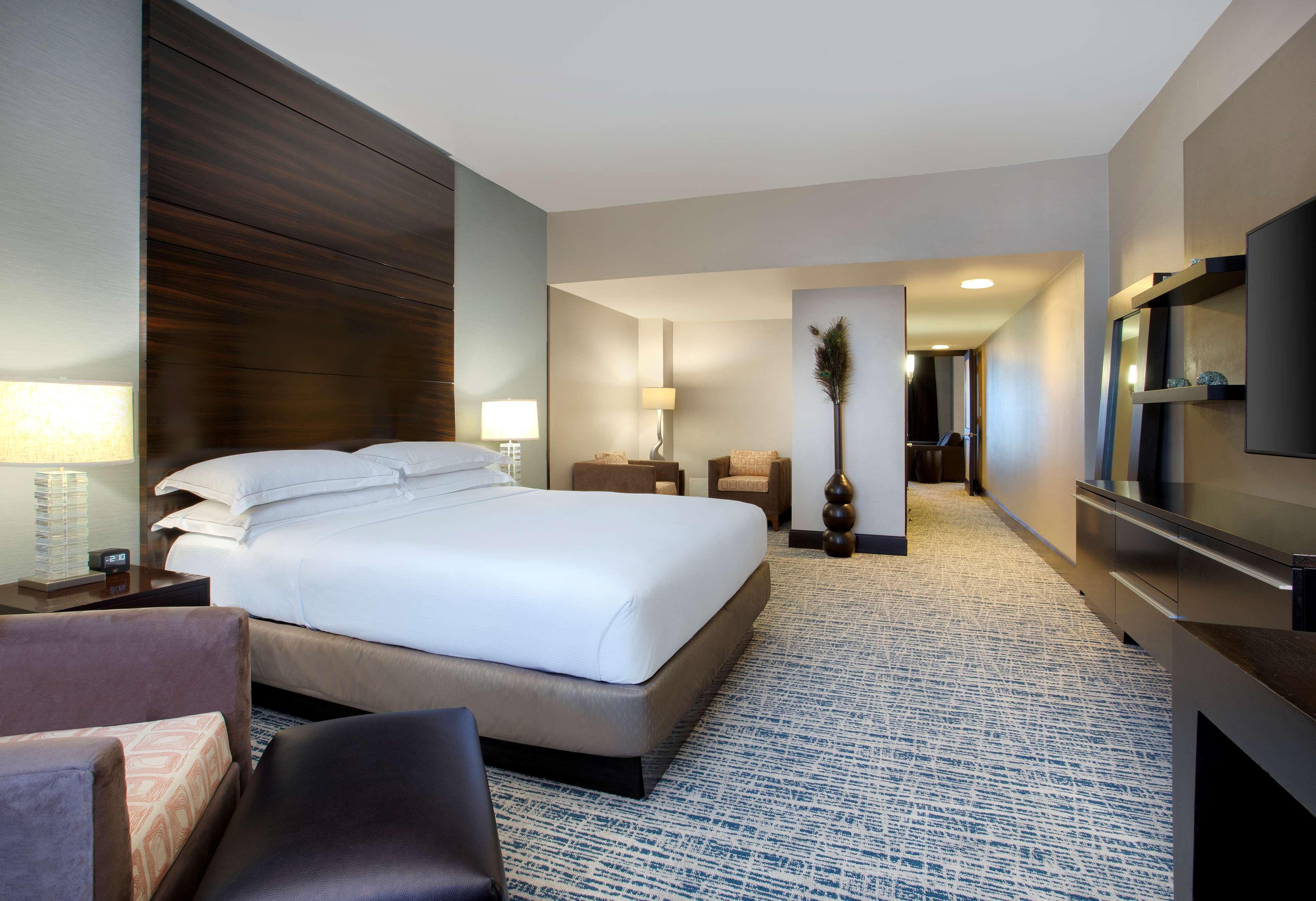 Suite King Bed One Bedroom 