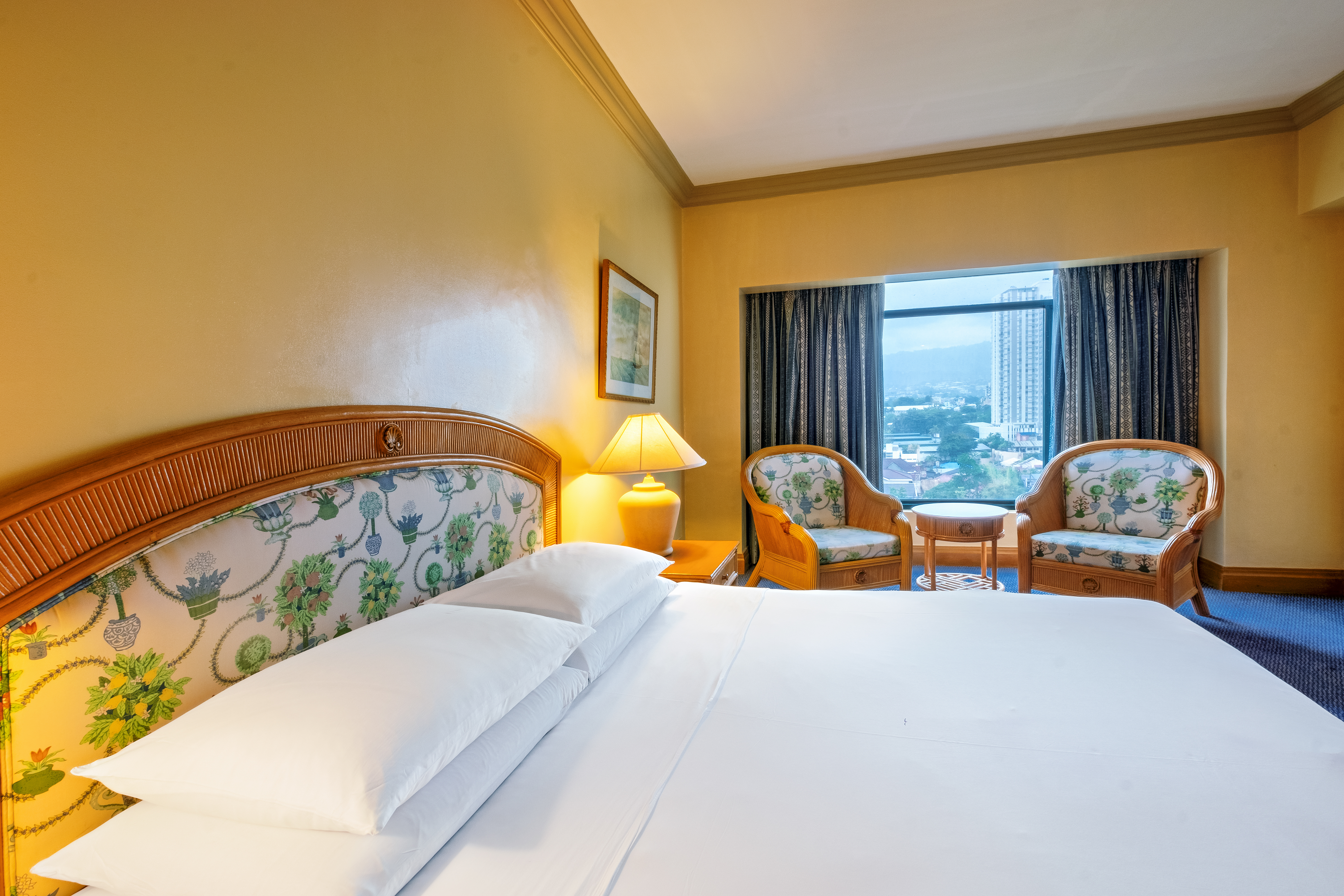 Double or Twin Standard