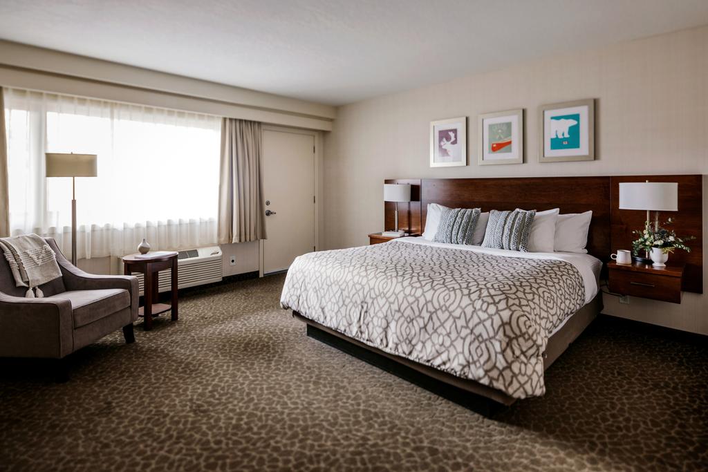 Room King Size Bed