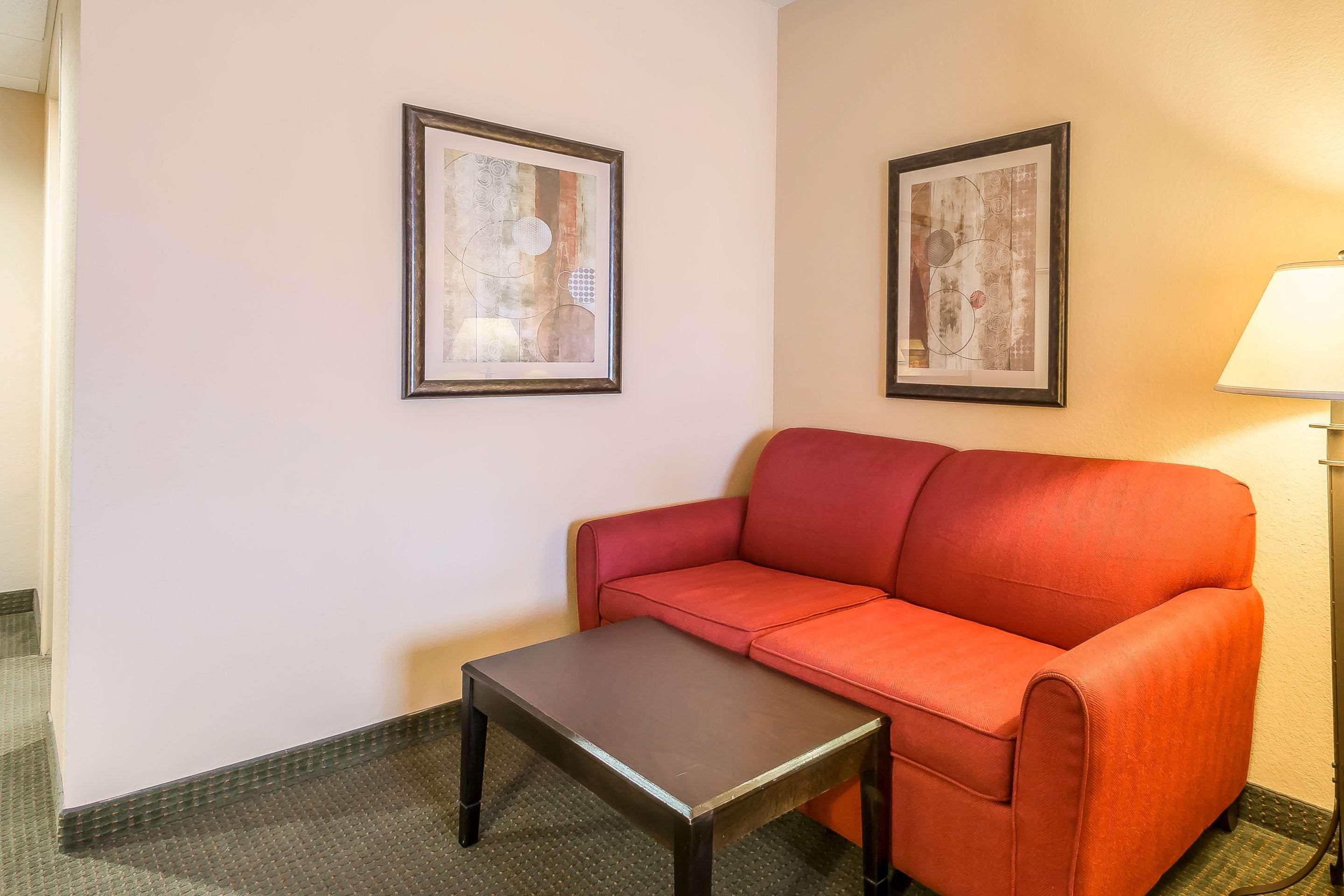 Suite King Bed Non Smoking