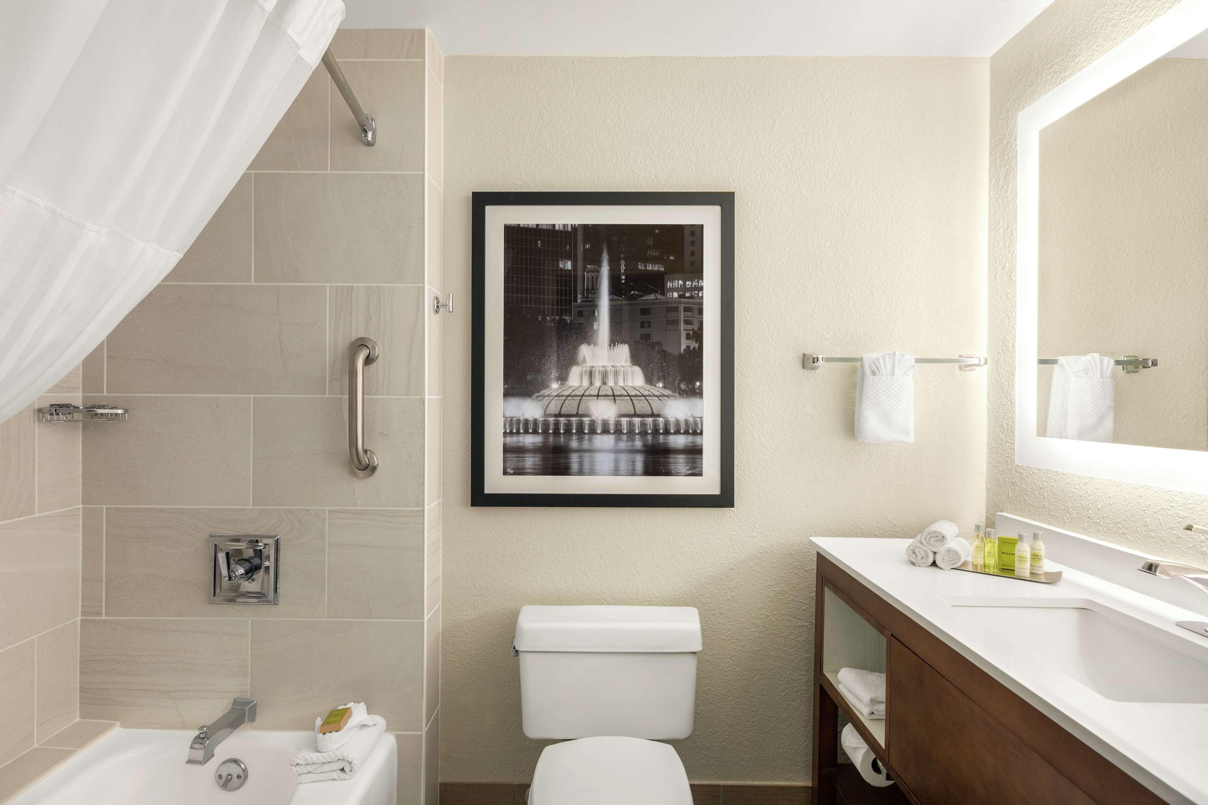 Double City View King Bed