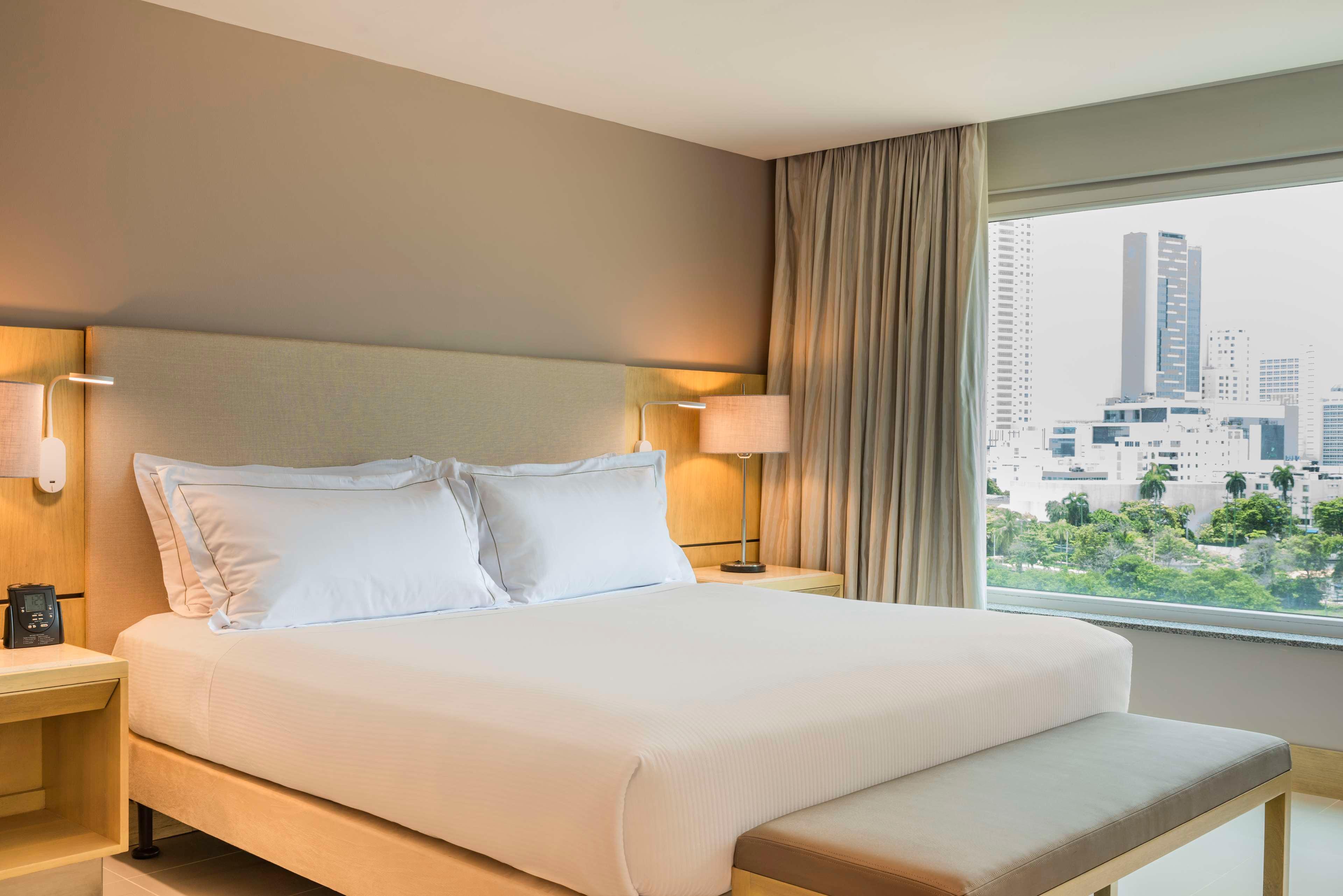 Suite Executive King Bed