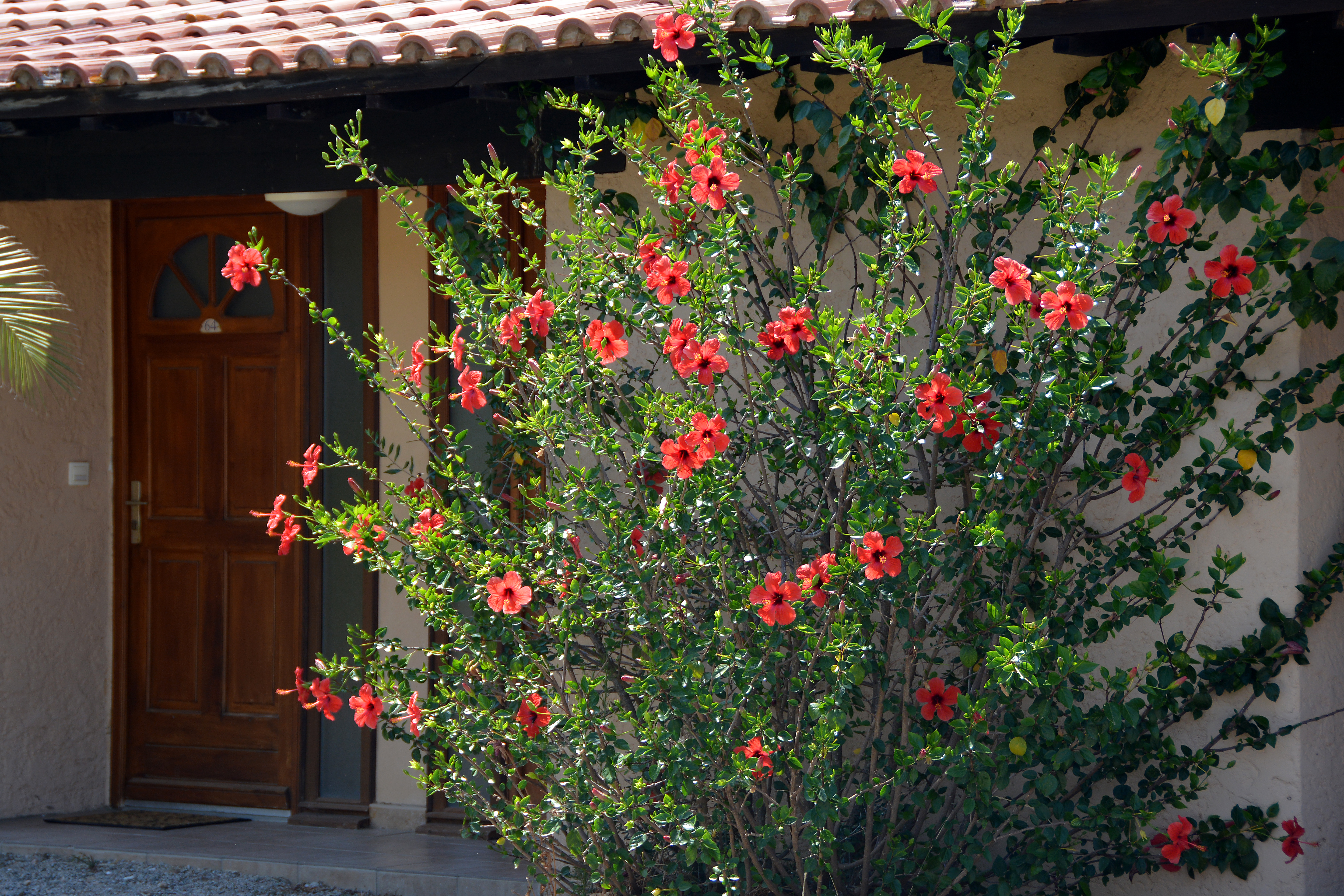 Villa Garden View One Bedroom
