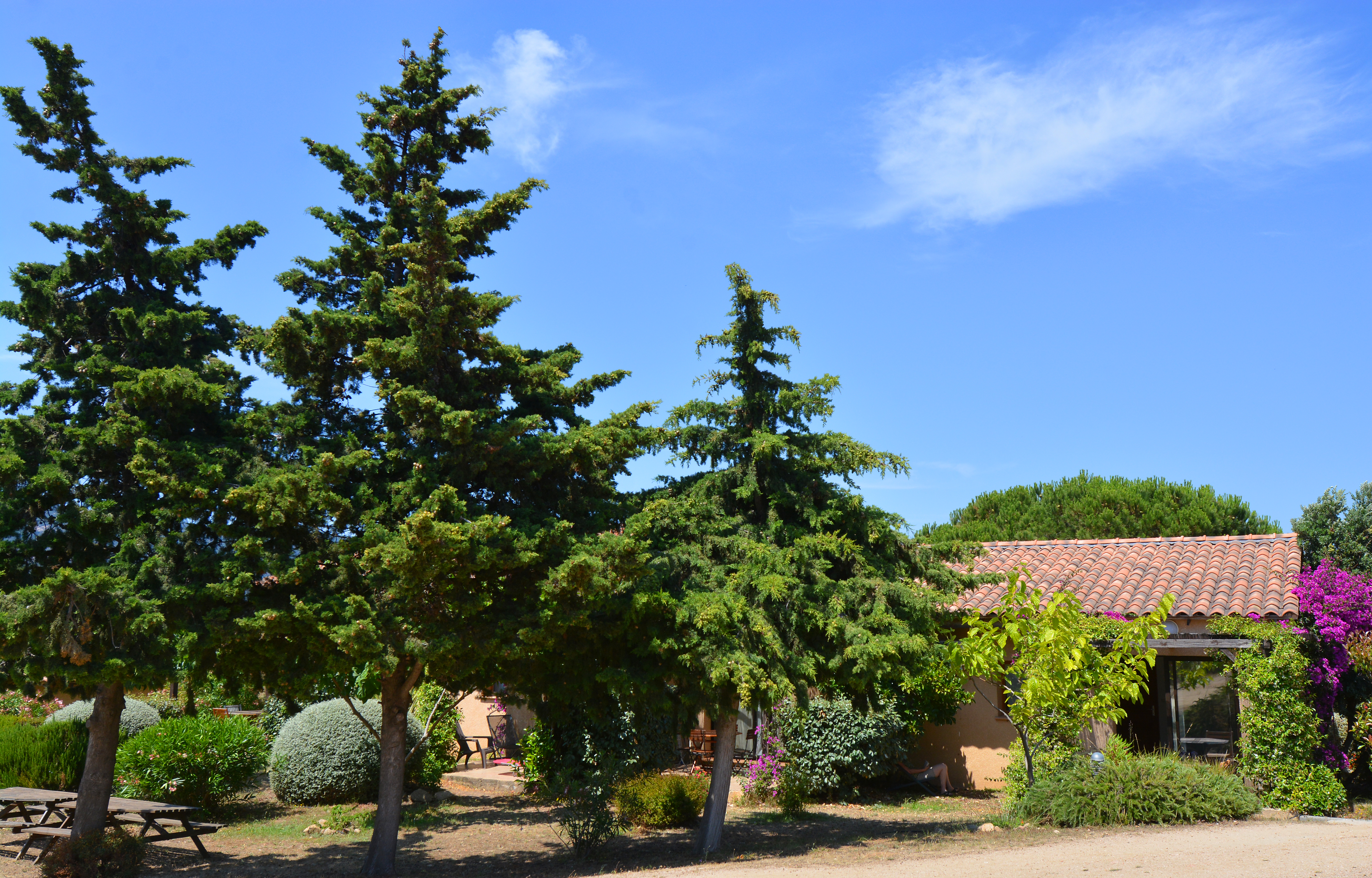 Villa Garden View One Bedroom