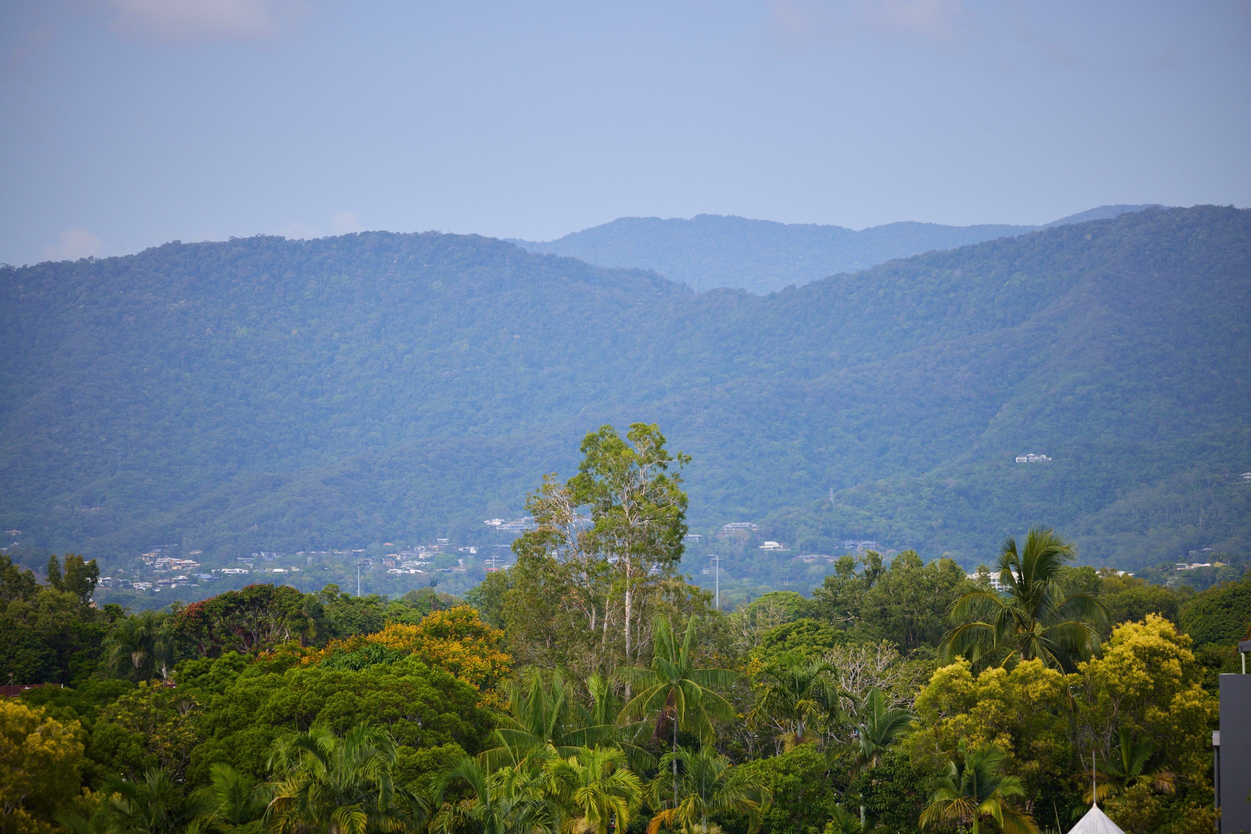 Suite King Bed One Bedroom 