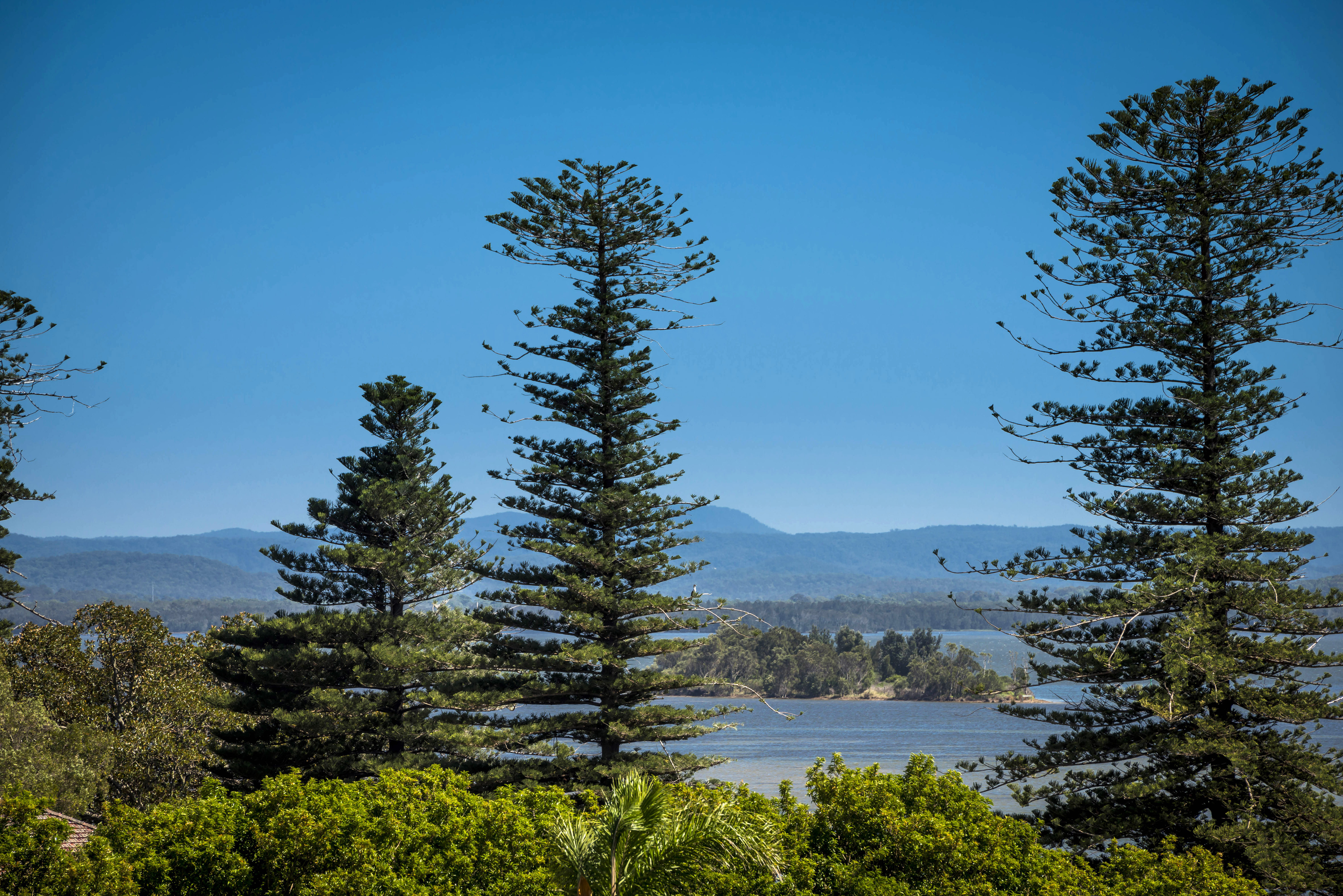 Apartment One Bedroom