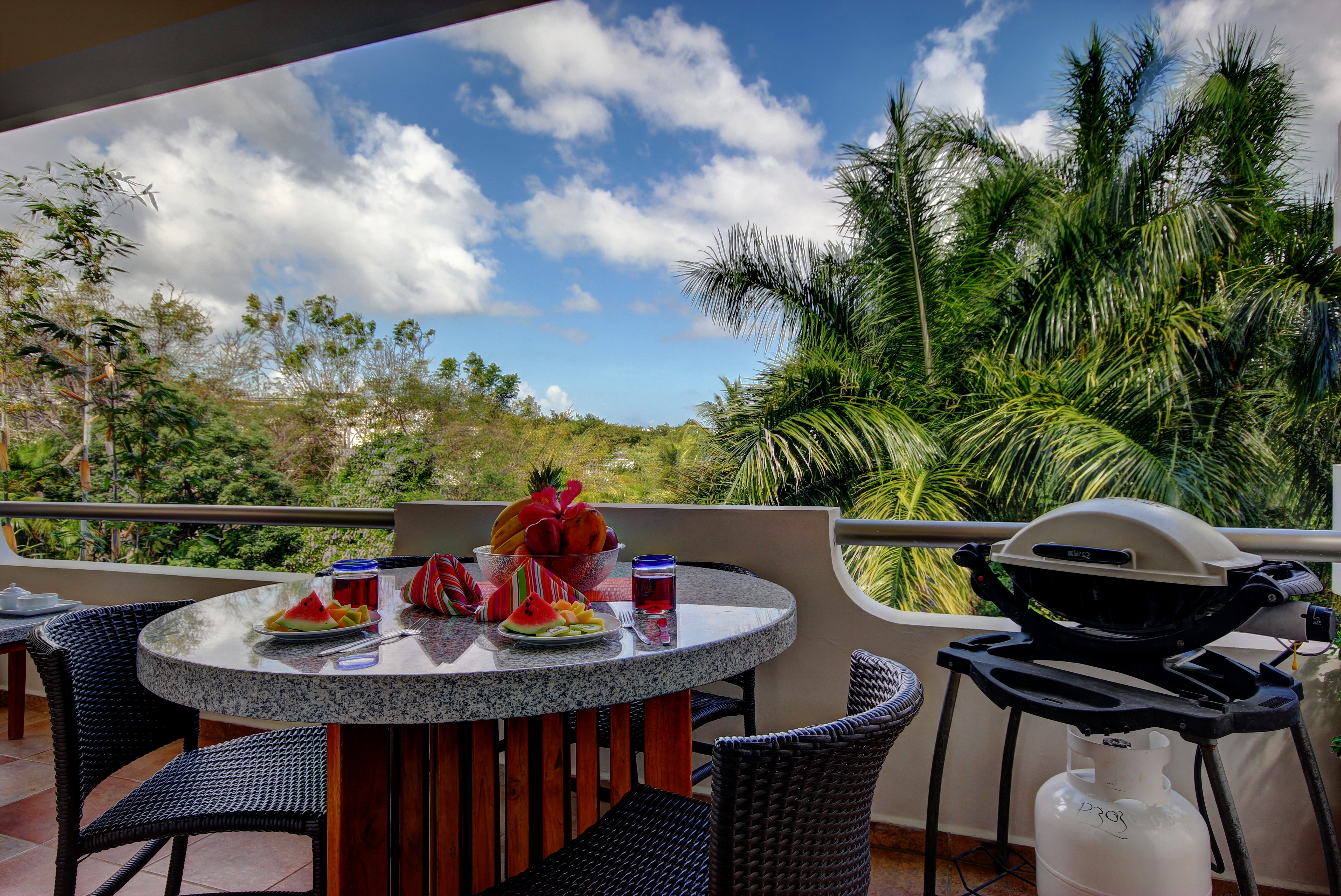 Apartment Superior Garden View