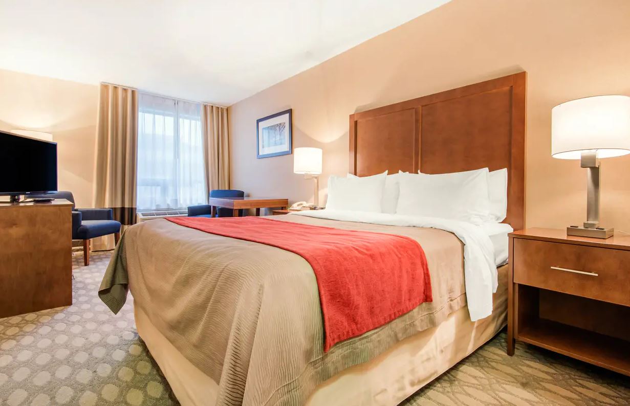 Double Queen Size Bed