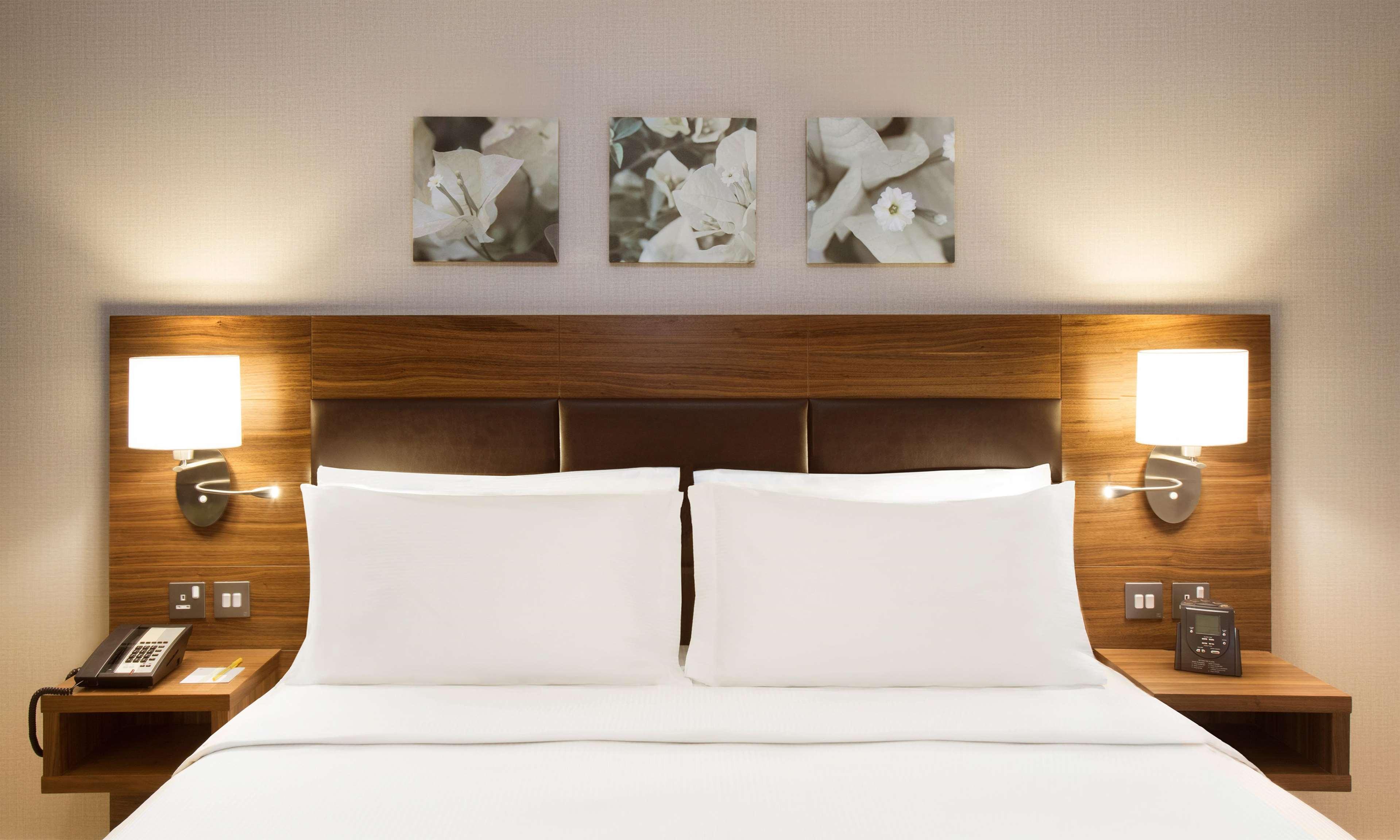 Suite King Bed One Bedroom 