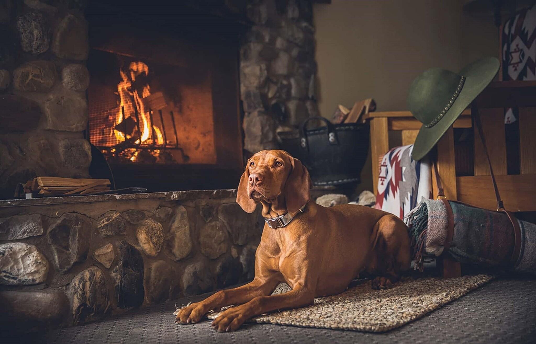 Lodge Two Double Beds