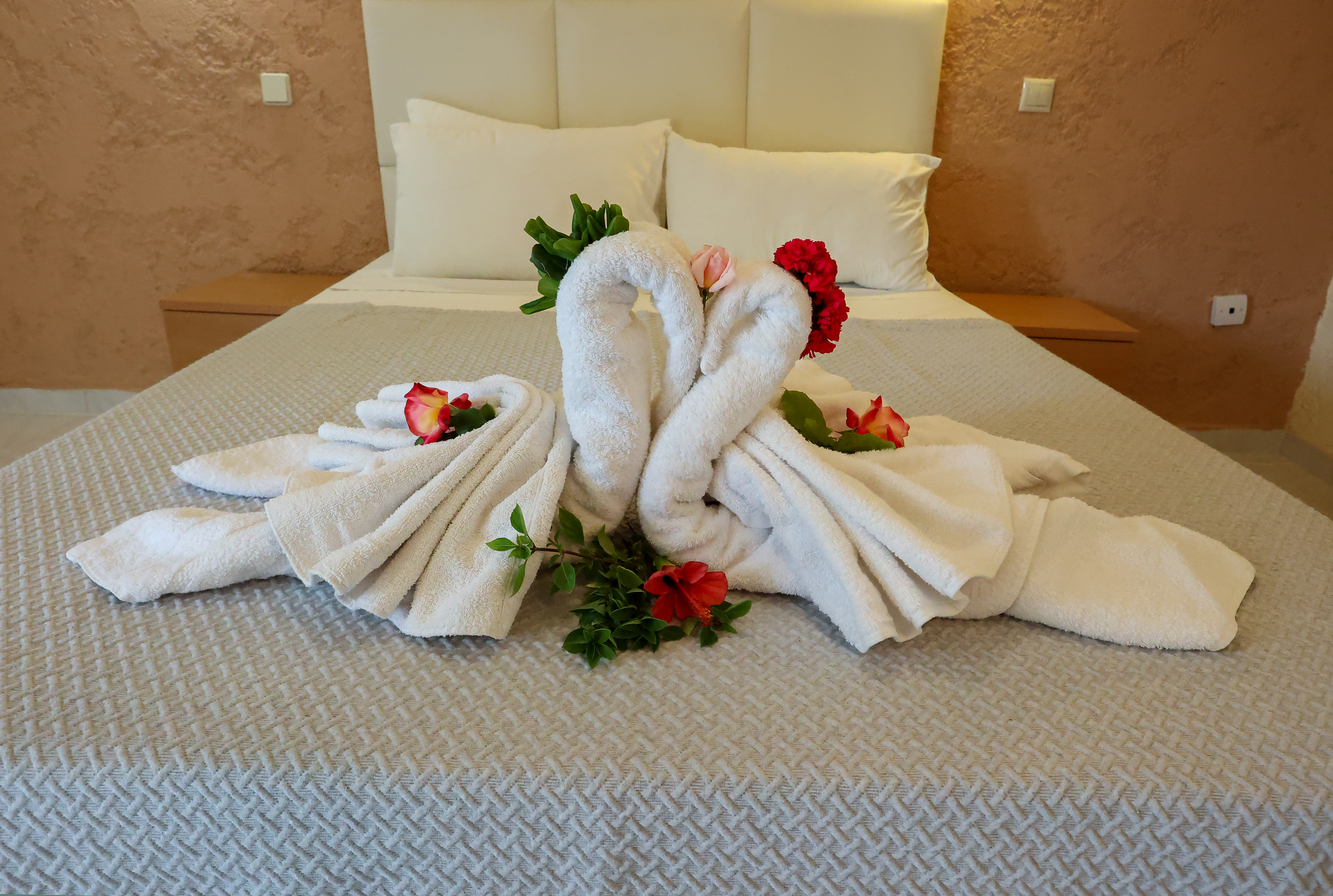 Apartment Capacity 4