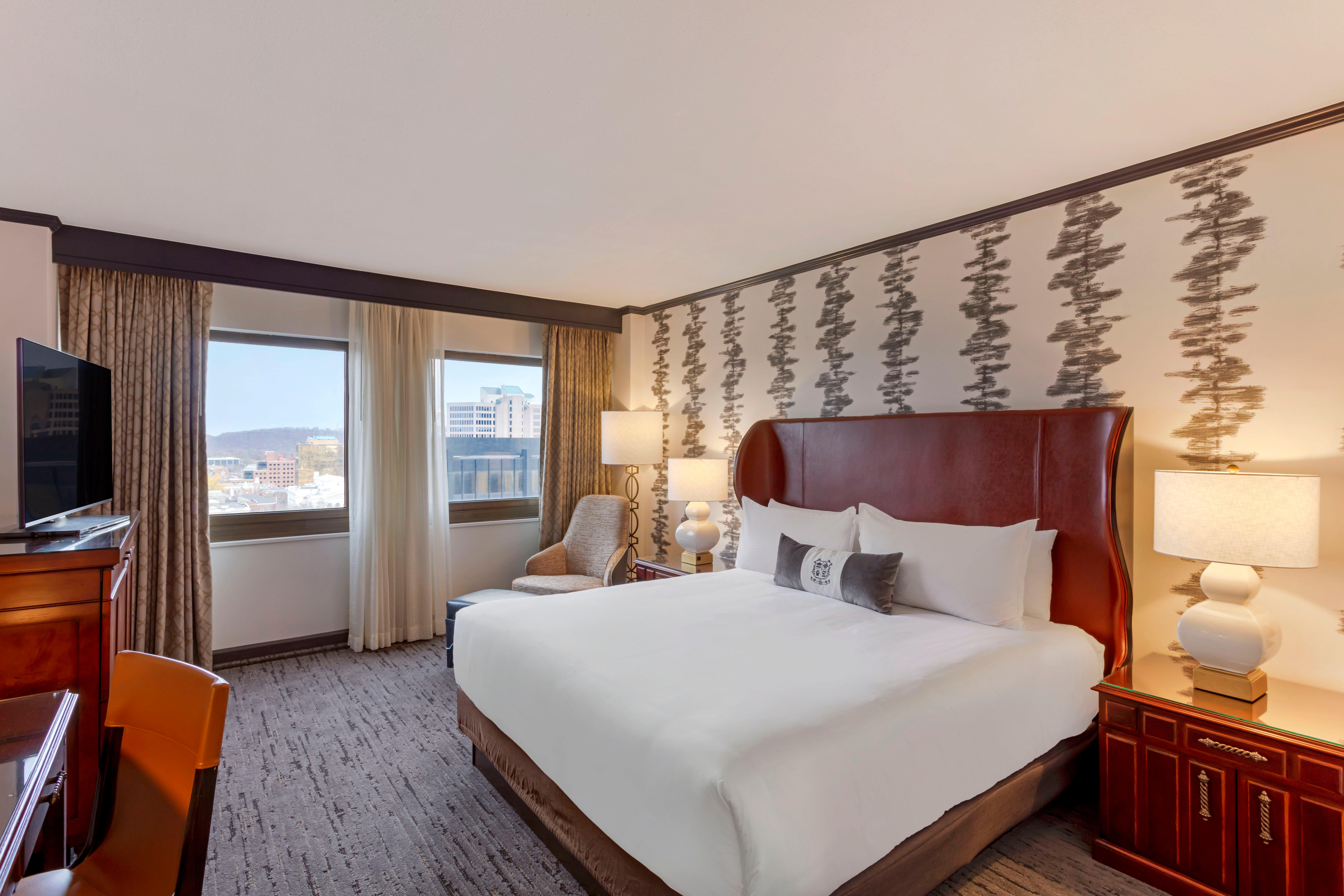 Suite King Bed One Bedroom 