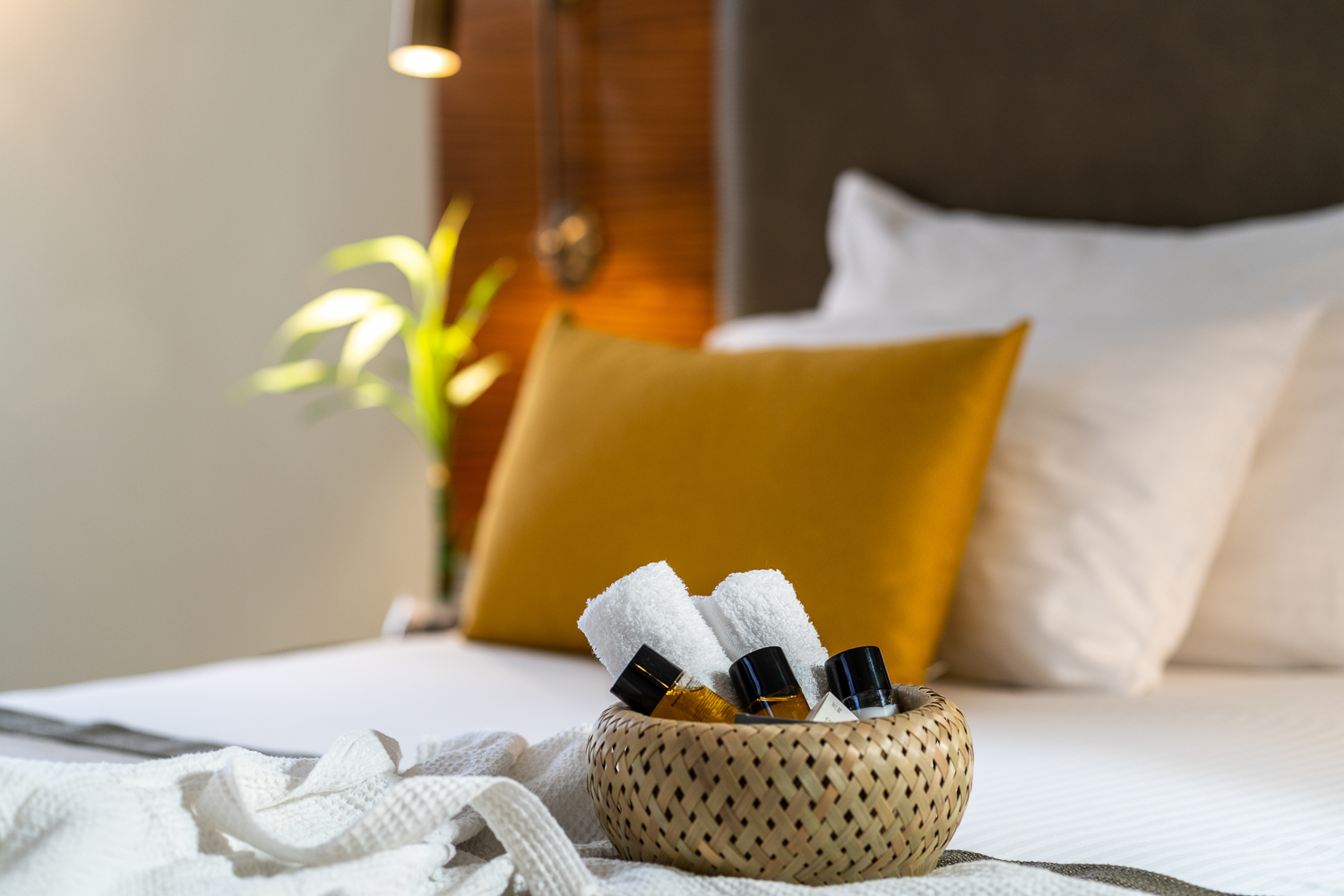 Double or Twin Classic