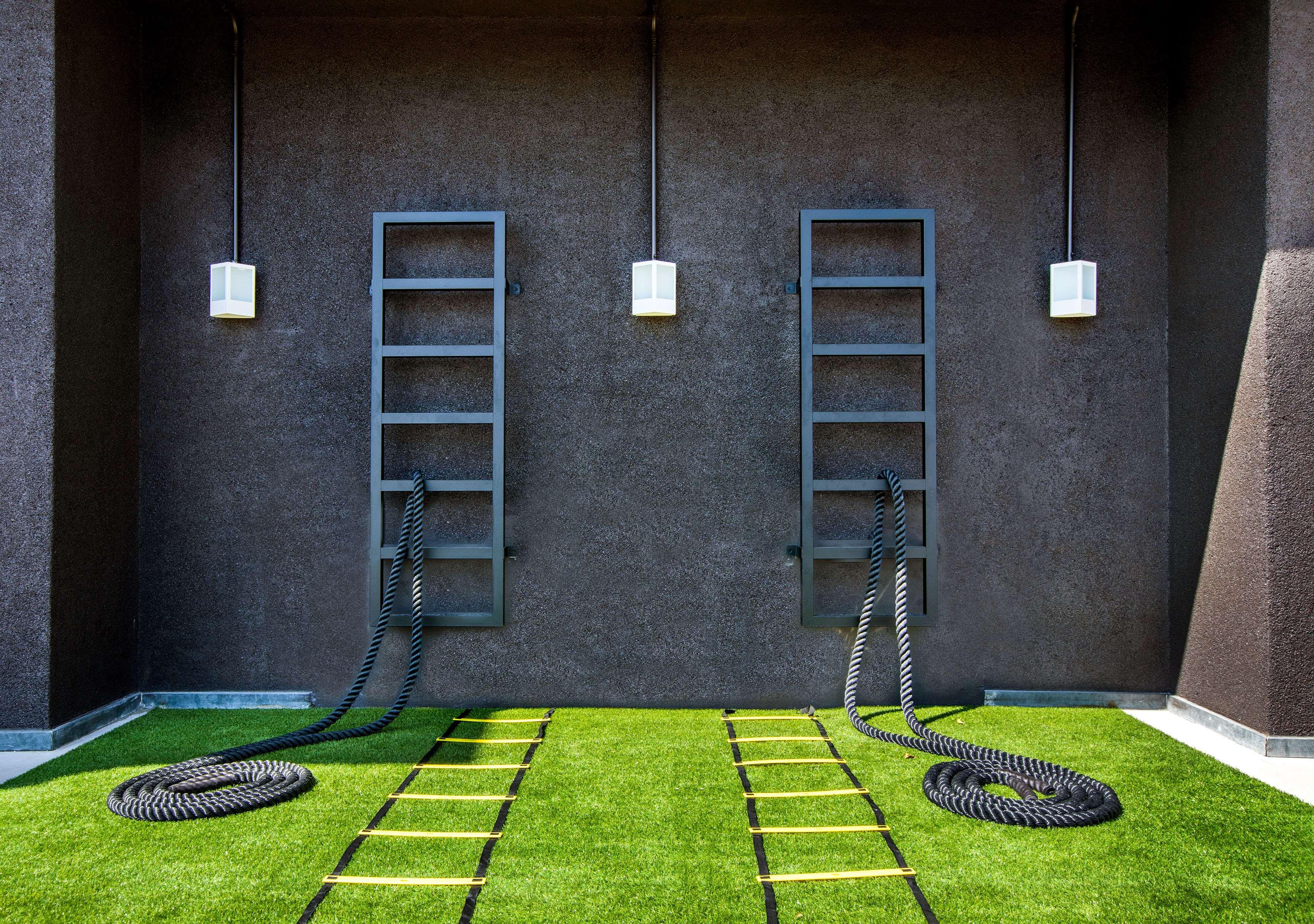 Sports and Entertainment