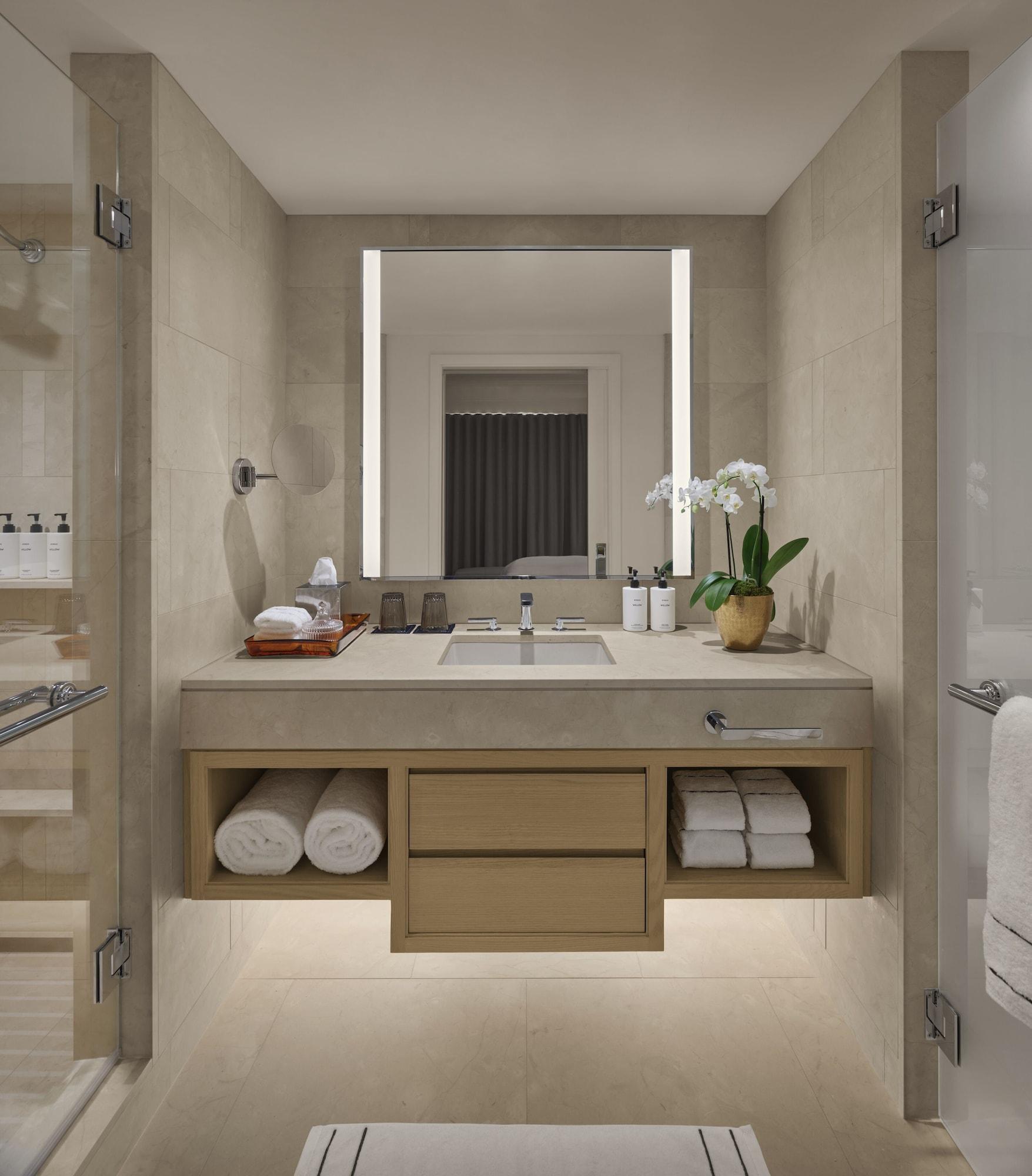 Suite Classic Park View