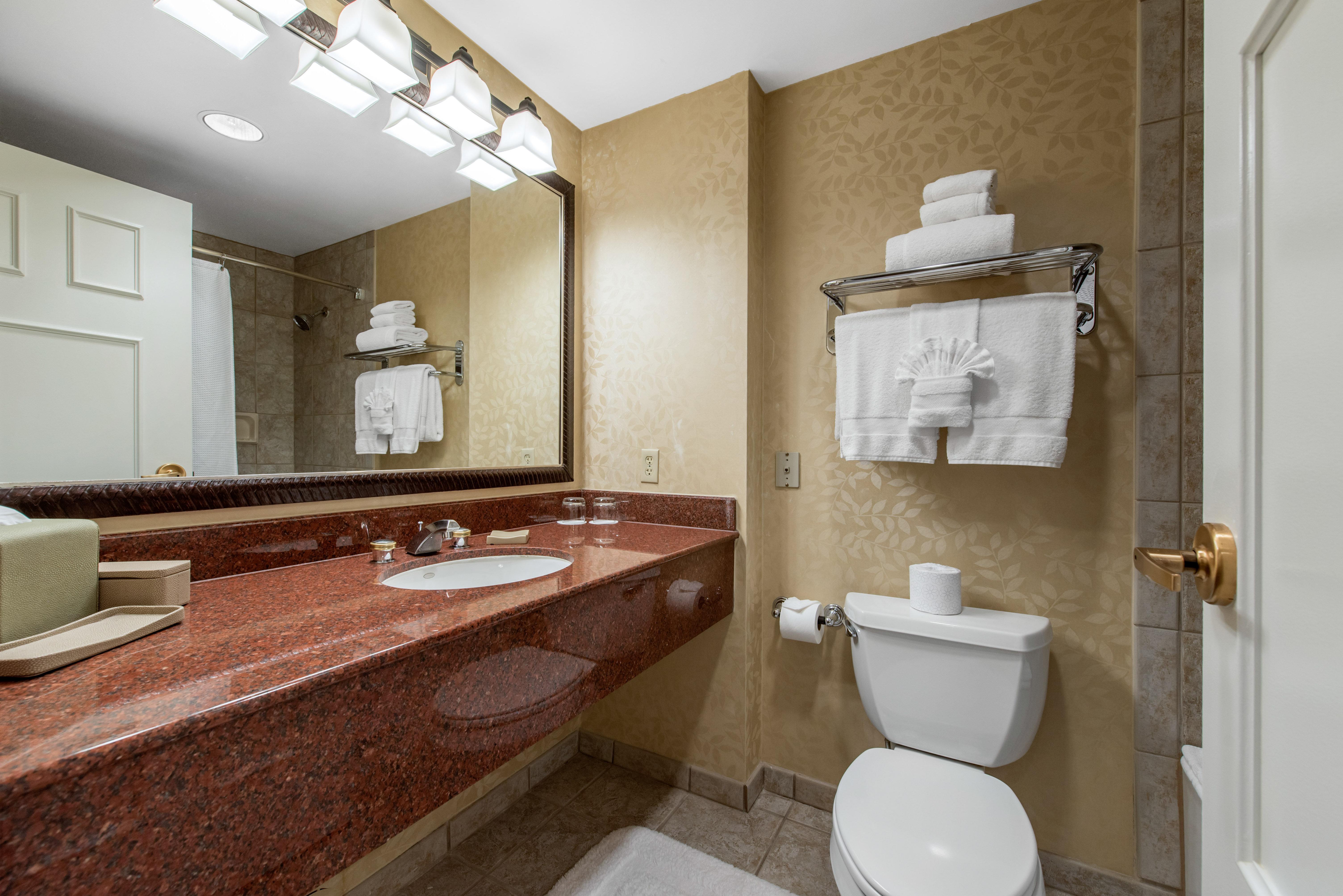 Suite King Bed One Bedroom 