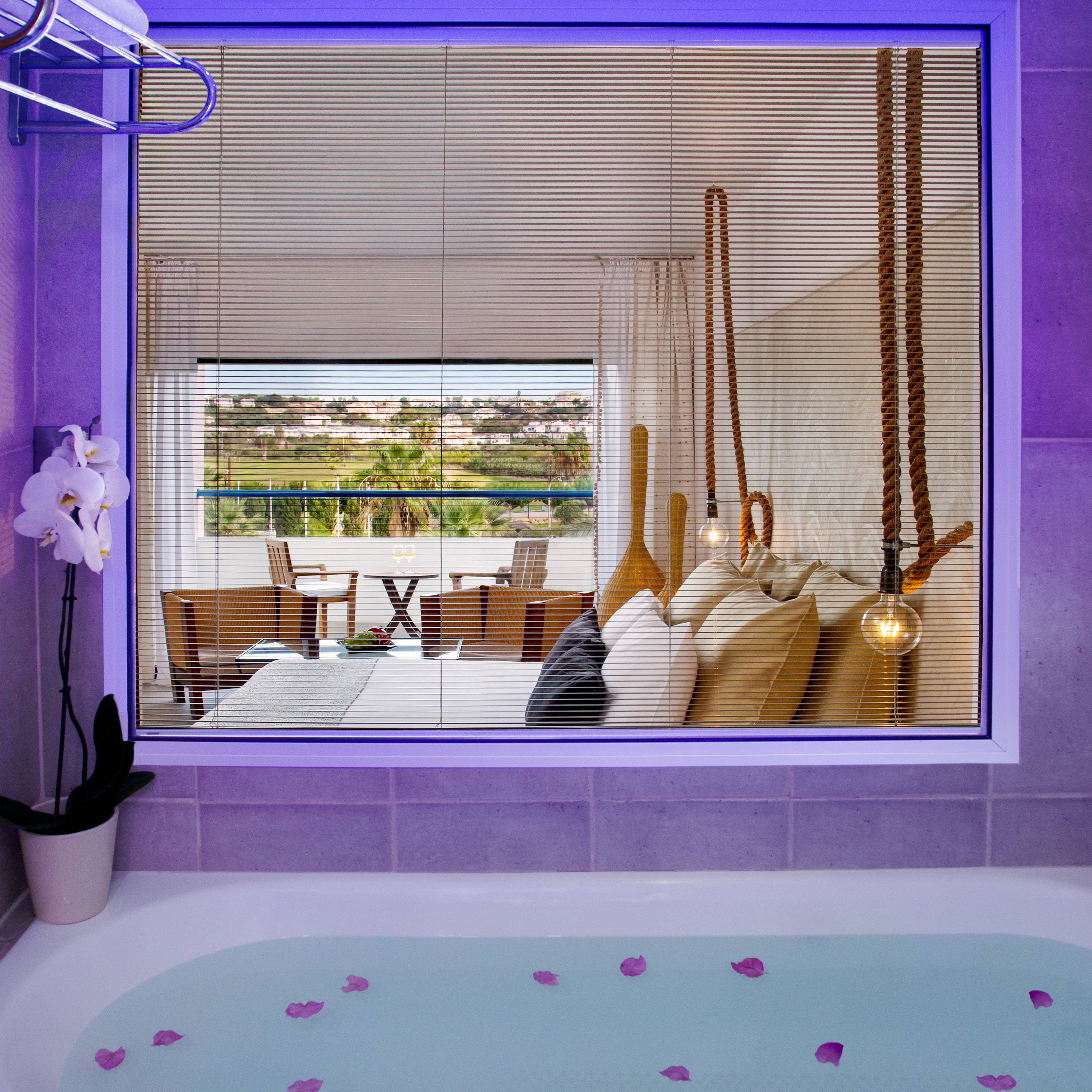 Double or Twin Premium