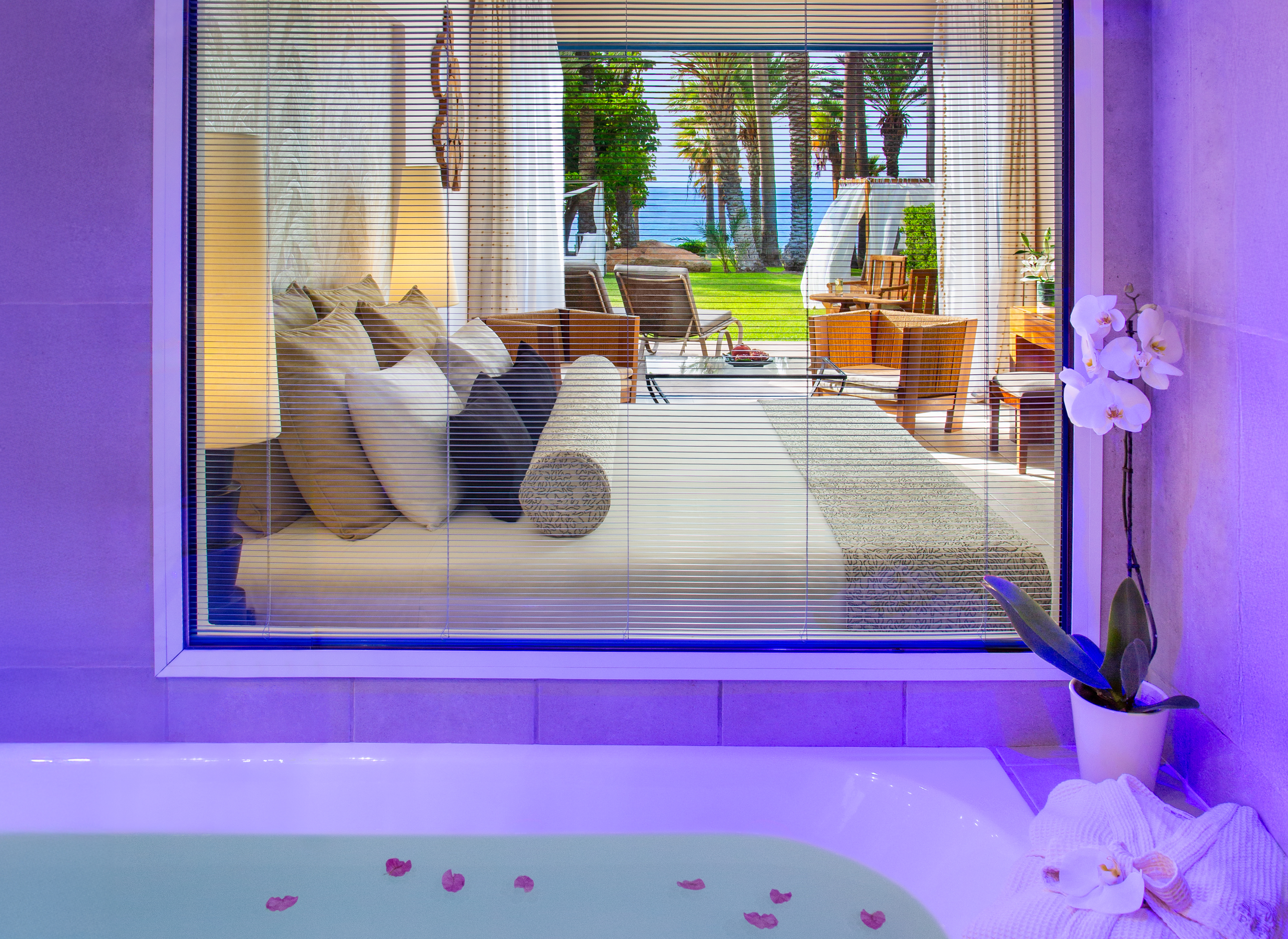 Double or Twin Premium Sea View