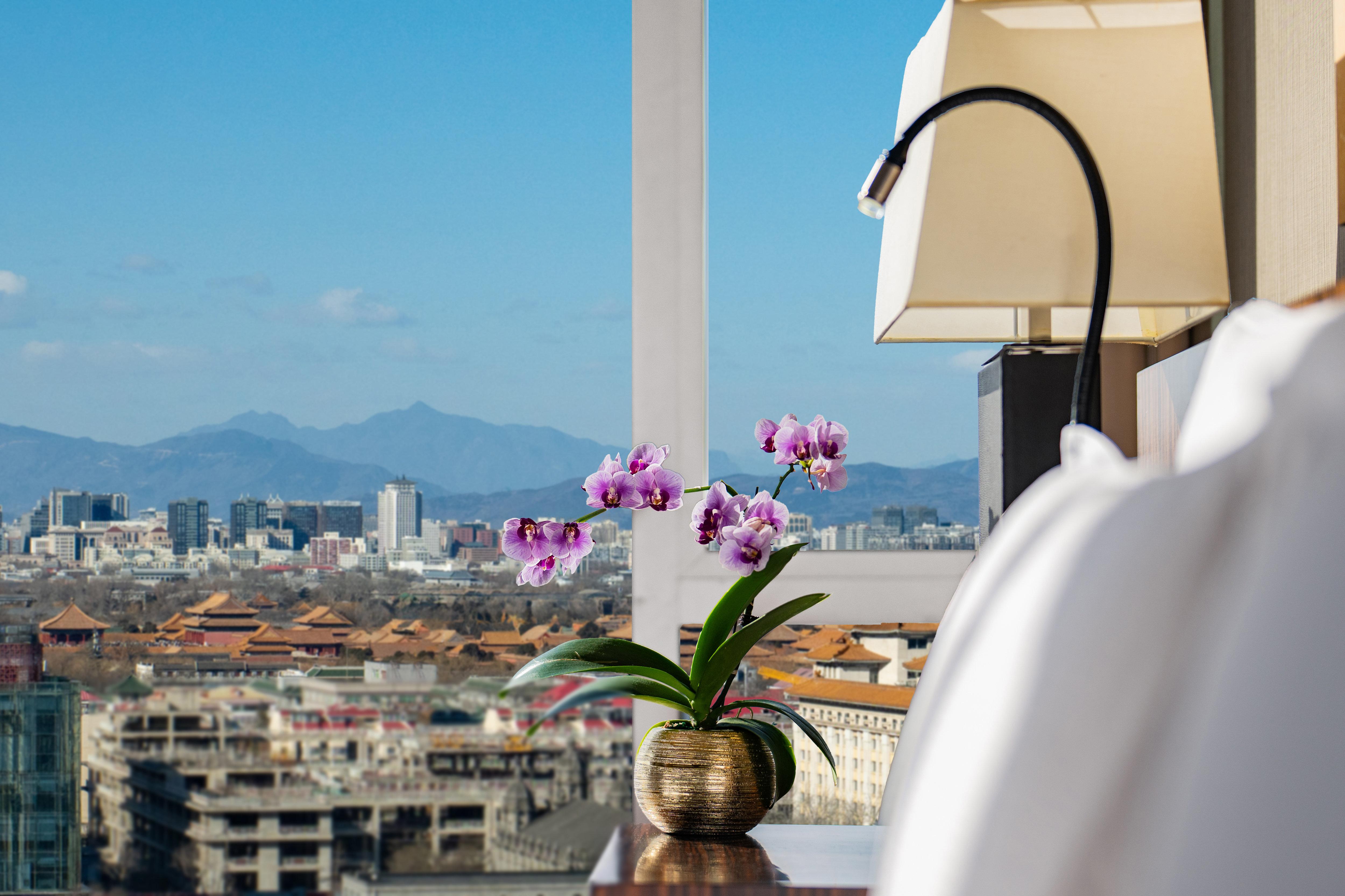 Double Classic City View