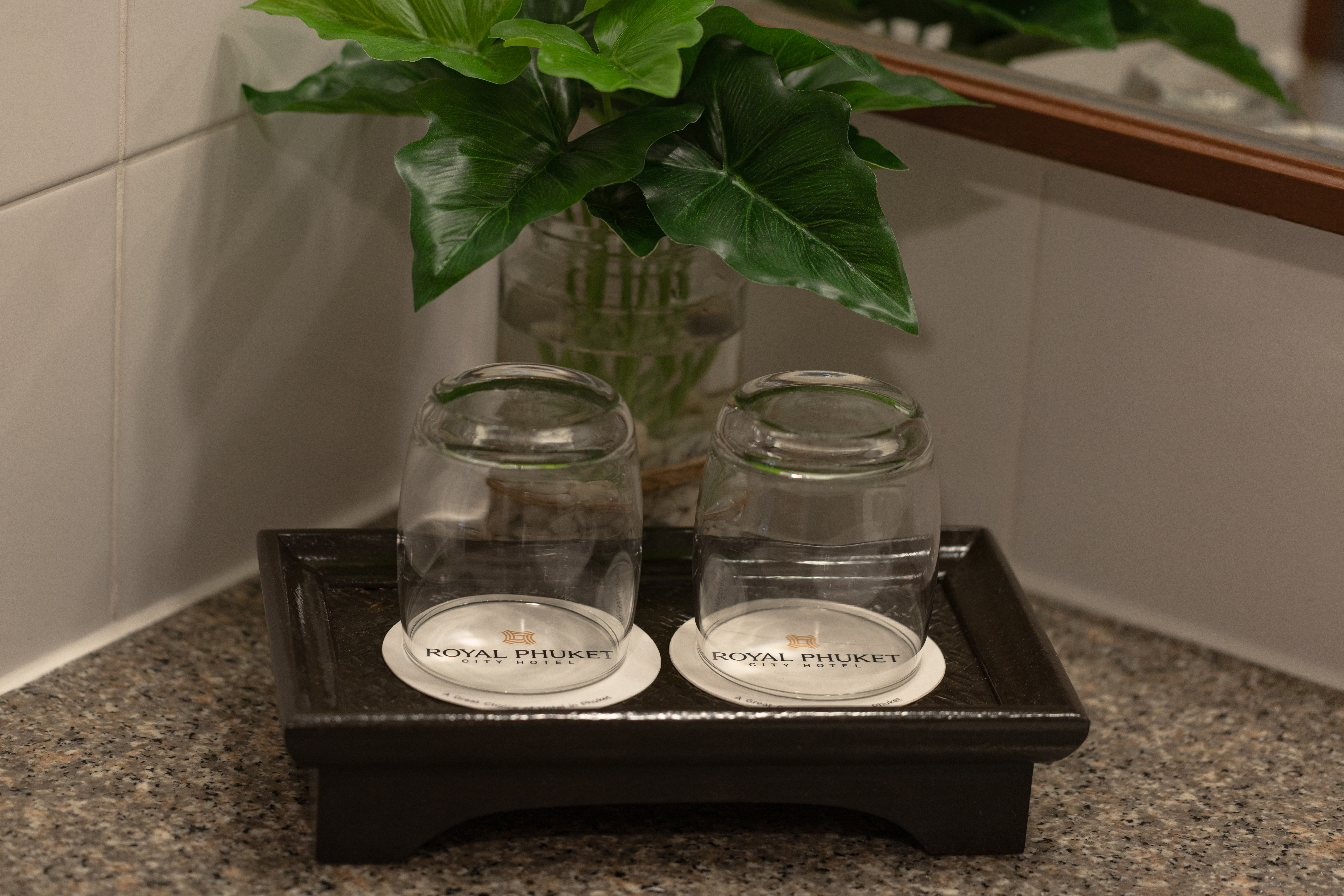 Double or Twin Superior