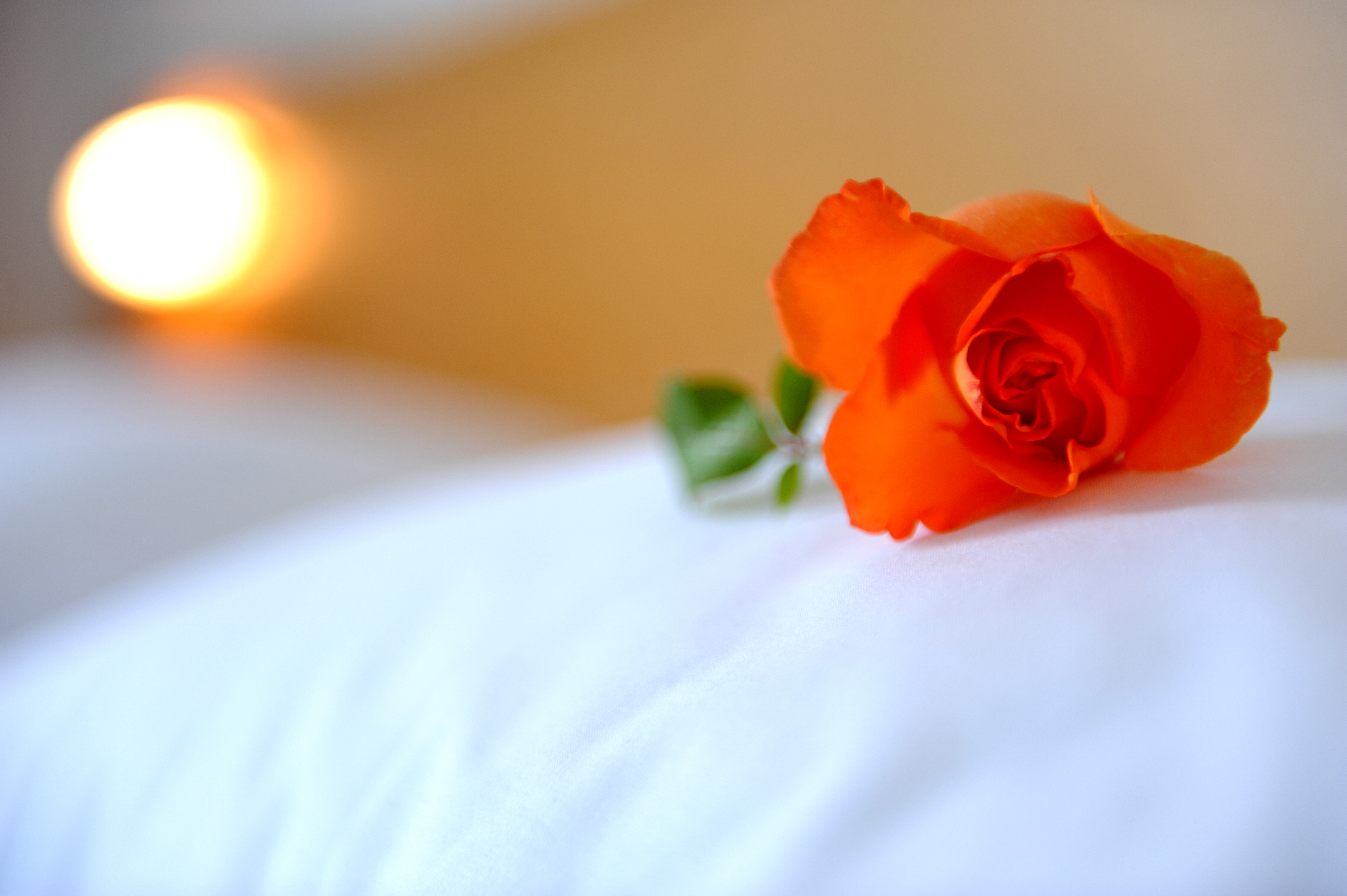 Double or Twin Garden View