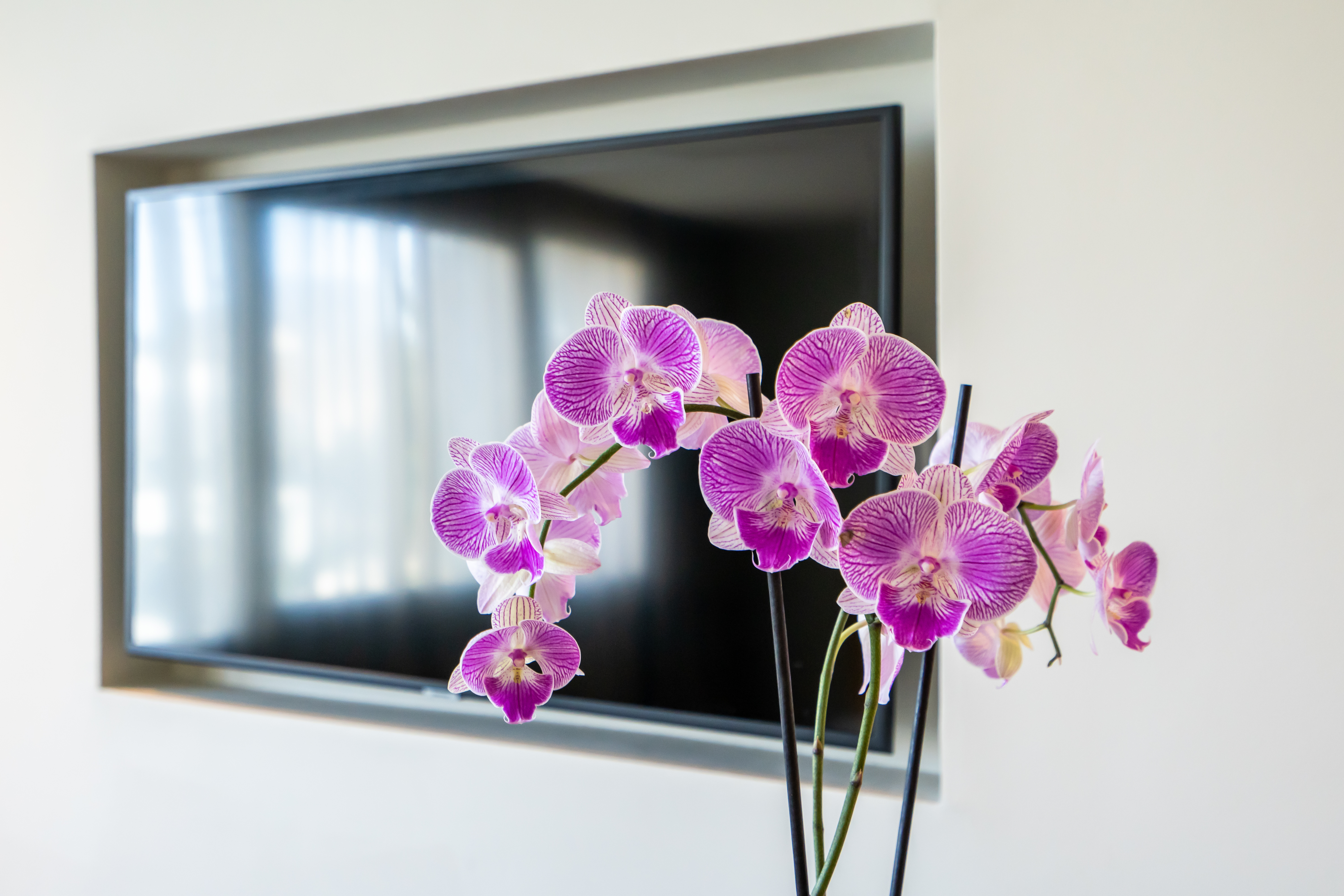 Junior Suite Classic