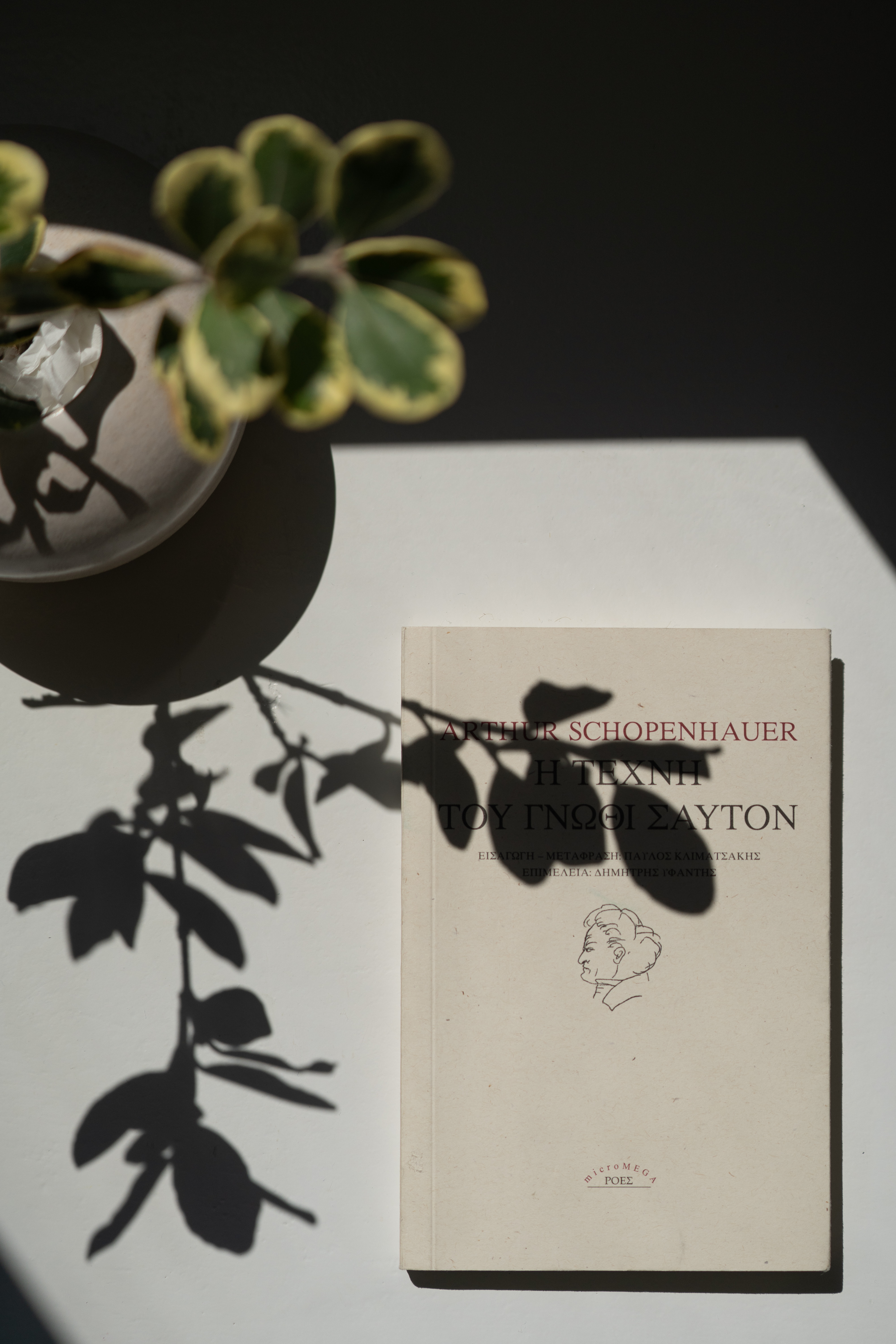 Junior Suite Pool View