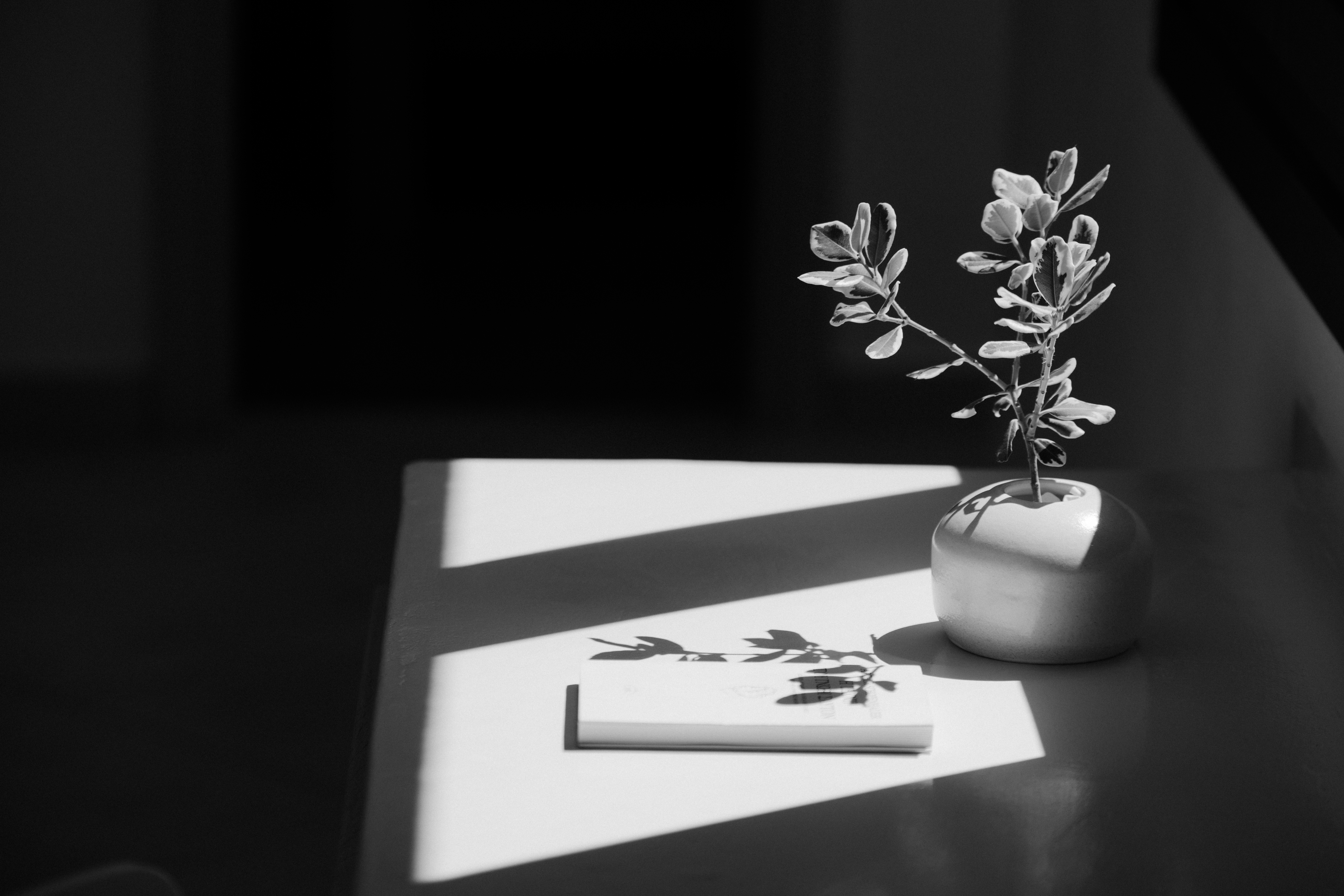 Junior Suite Pool View