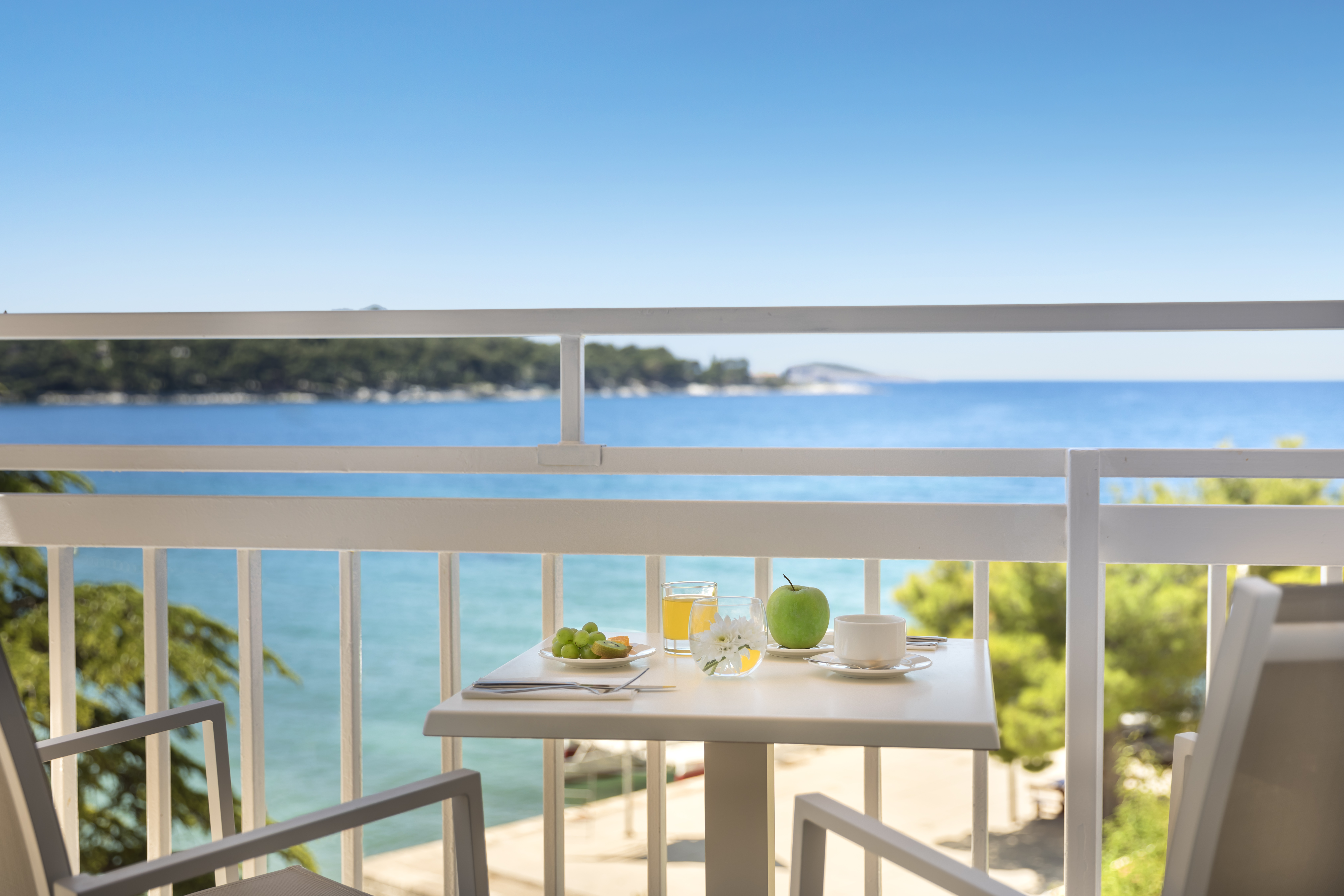 Twin Sea View with Balcony