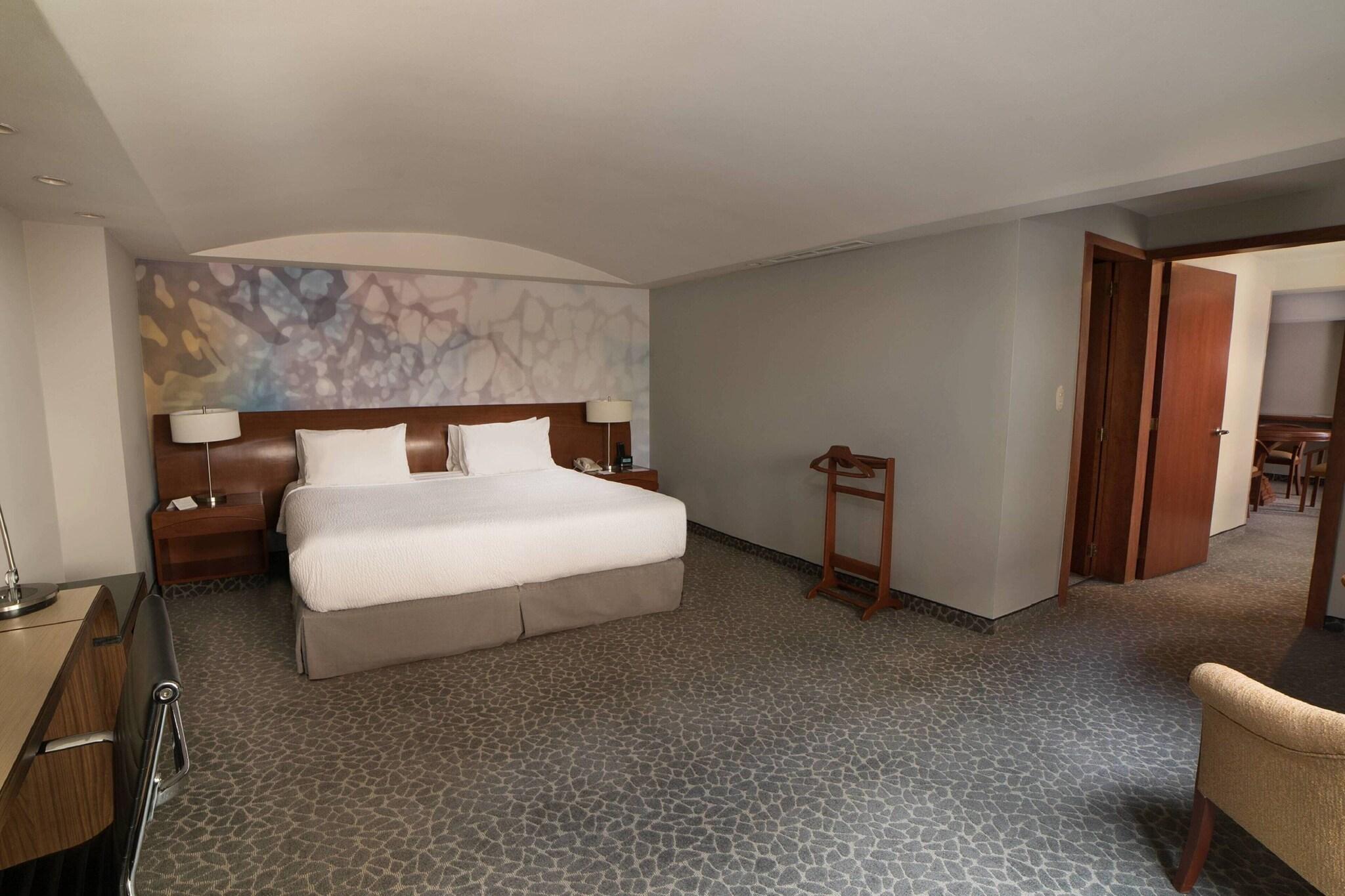 Suite King Bed One Bedroom 