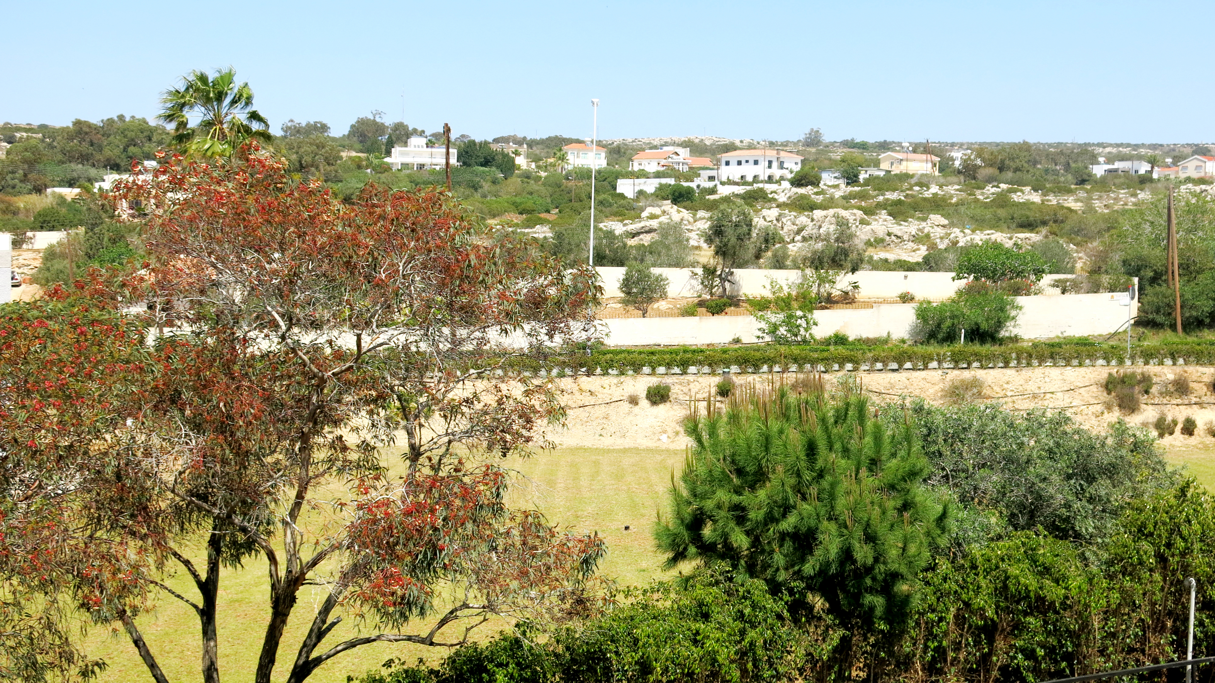 Family Room Garden View