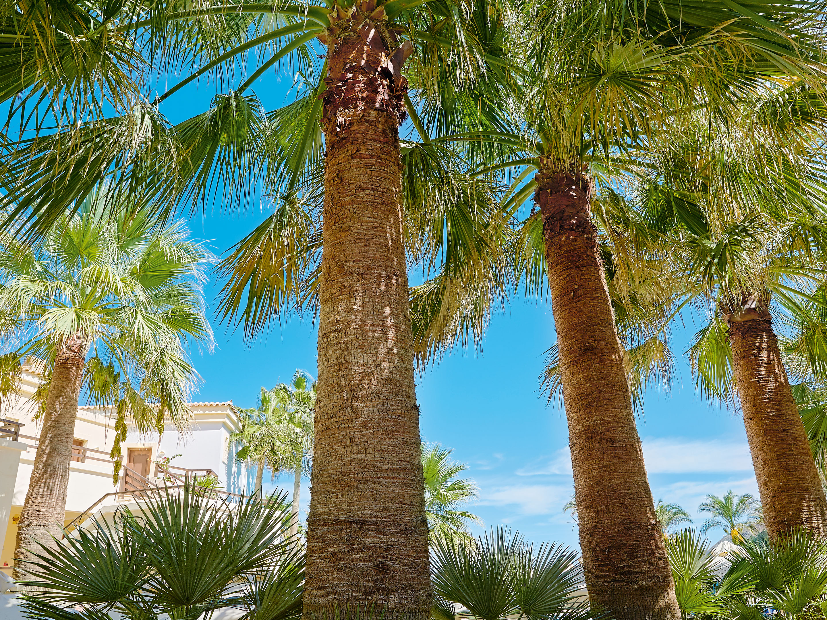 Apartment Garden View