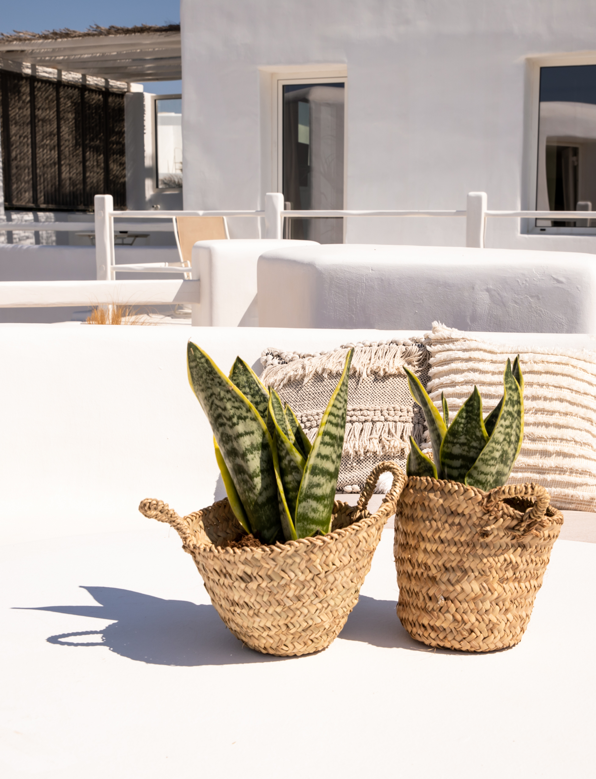 Junior Suite with Jacuzzi