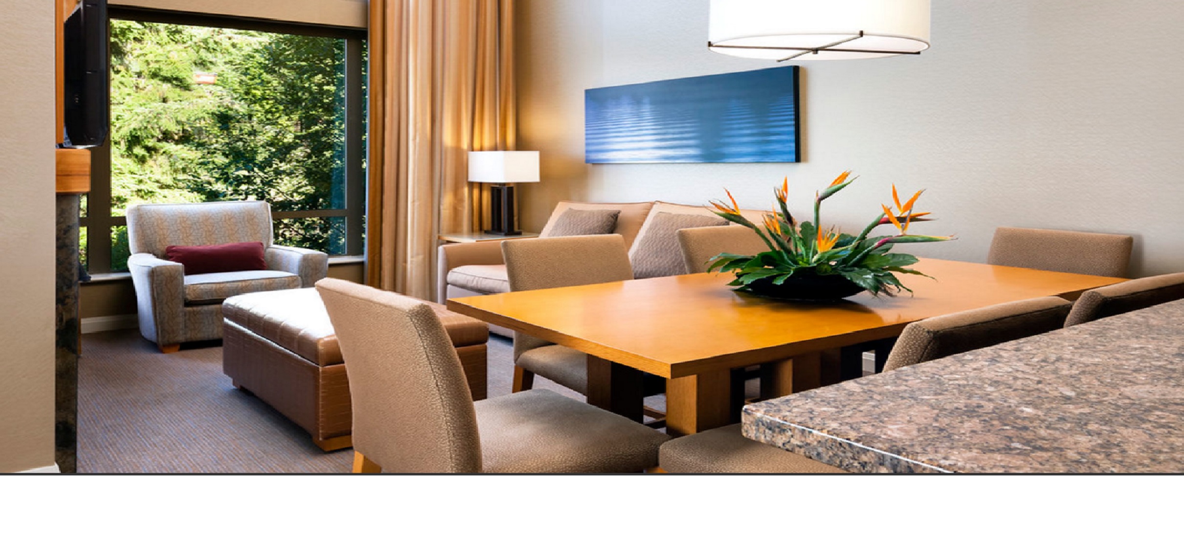 Studio Mountain View